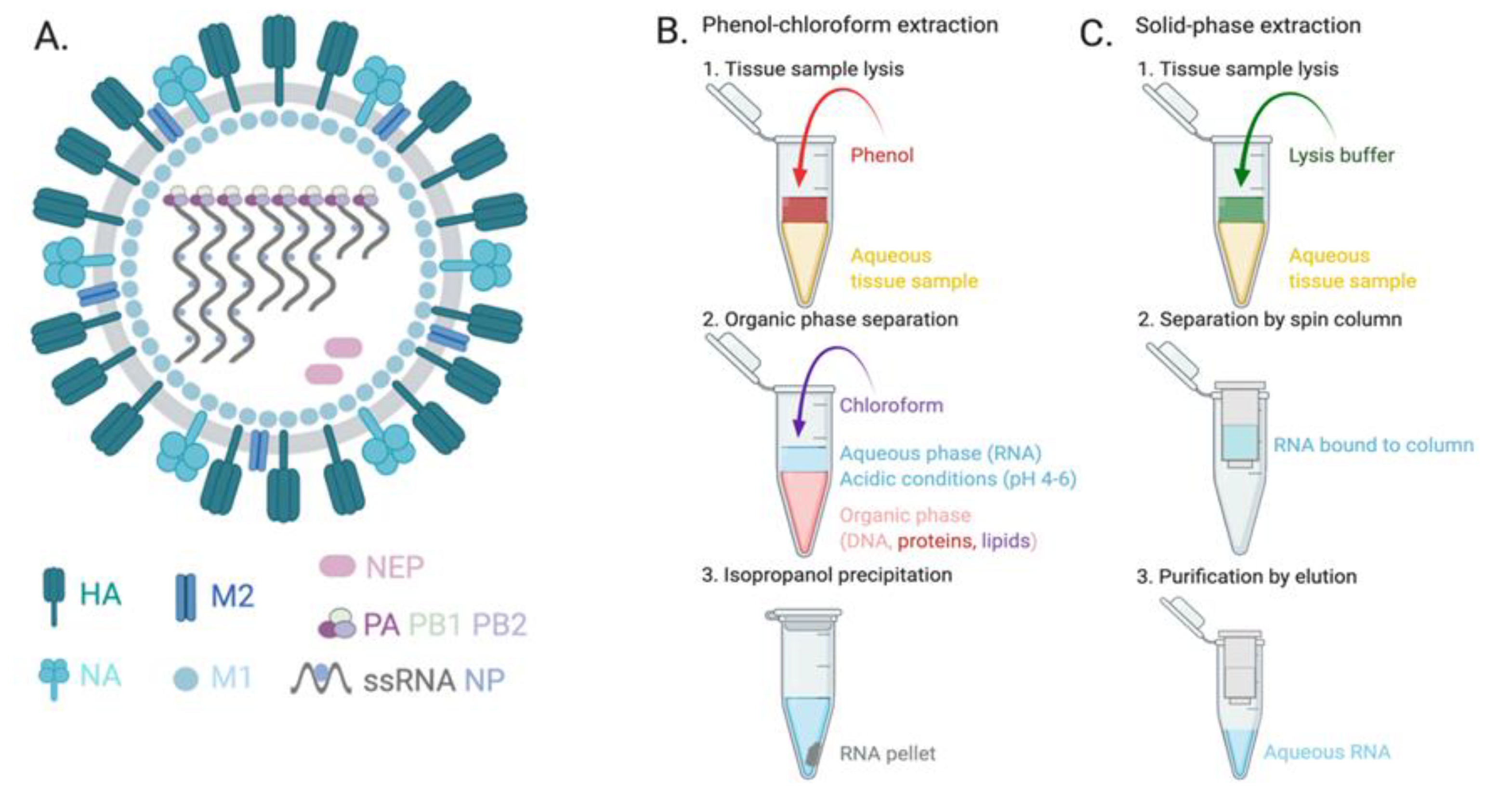 Disease Diagnosis Based on Nucleic Acid Modifications