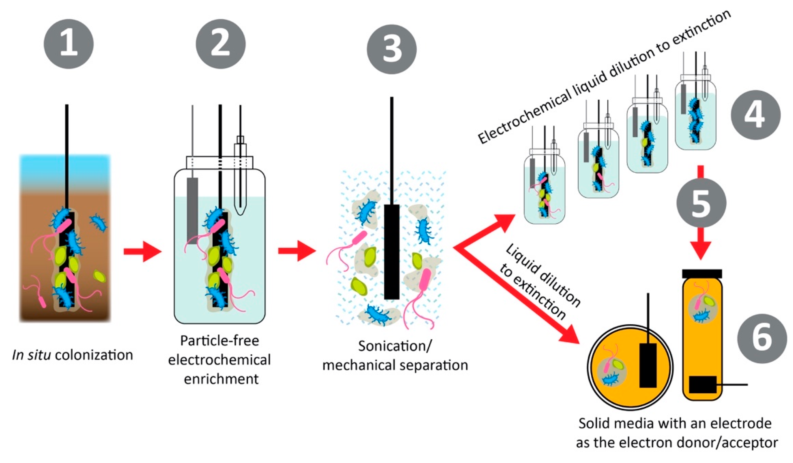 Biosensors 11 00048 g005 Biosensors 11 00048 g005