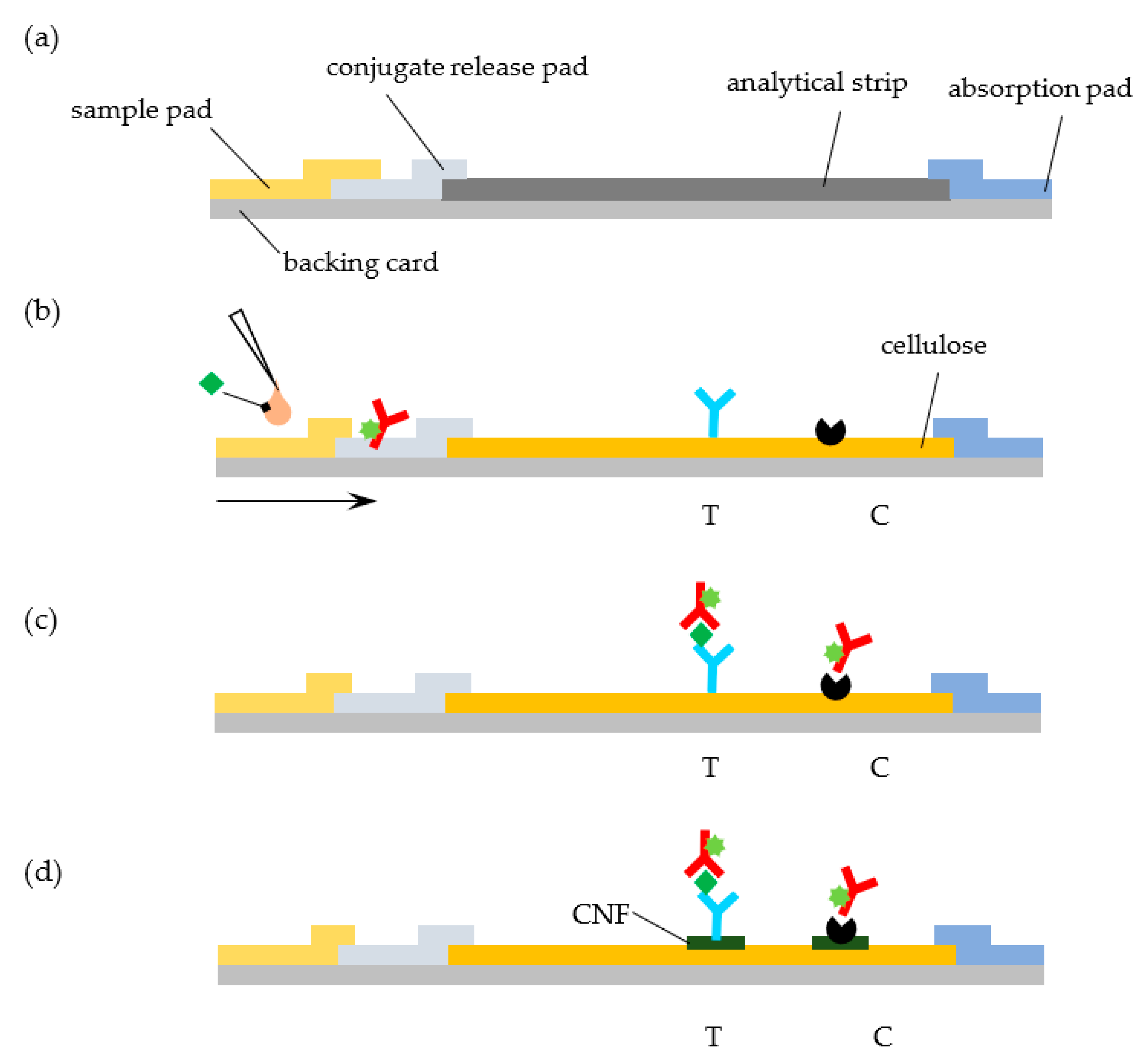 Biosensors 11 00049 g001