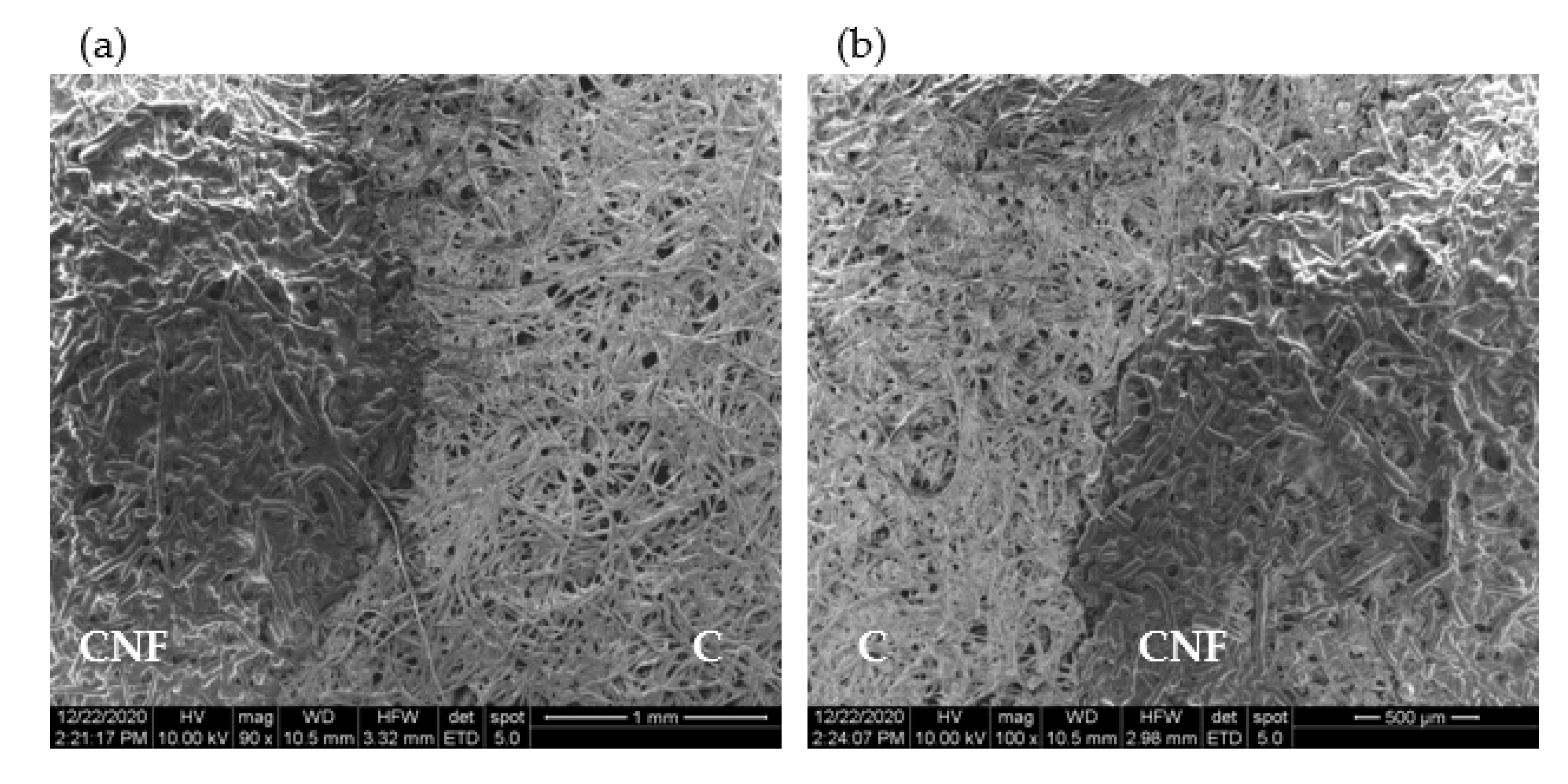 Biosensors 11 00049 g003