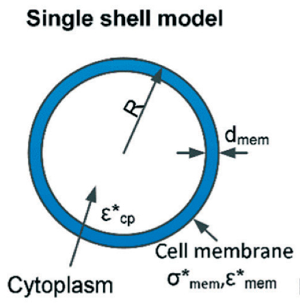 Biosensors Free Full Text Dielectrophoretic Characterization Of Tenogenically Differentiating Mesenchymal Stem Cells Html