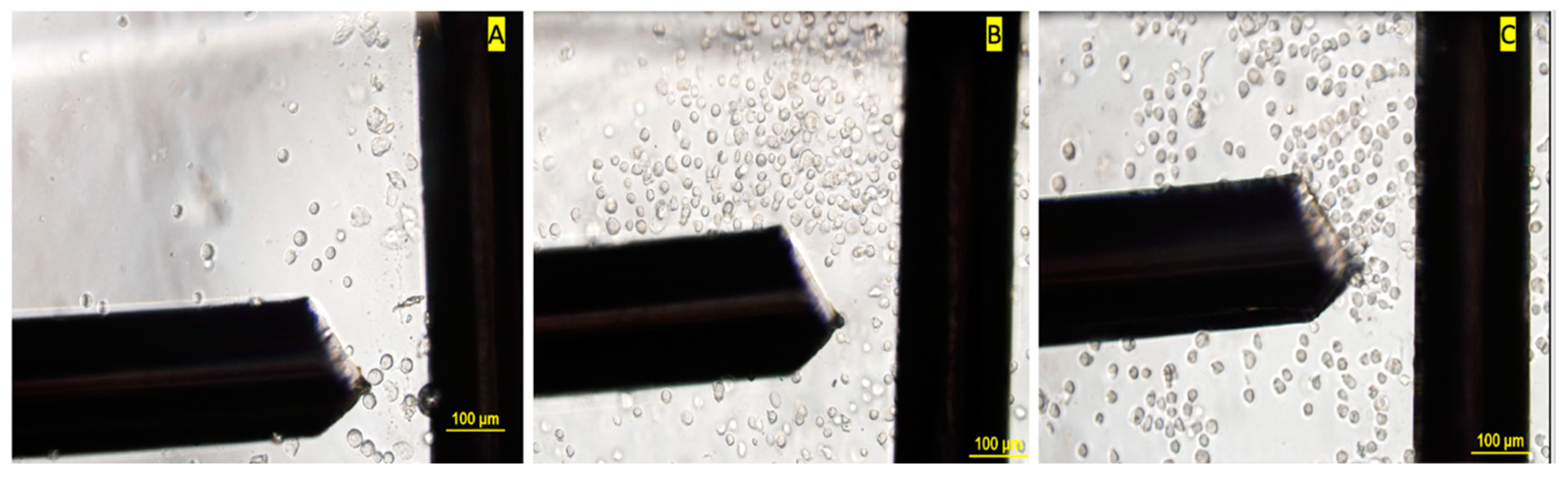 Biosensors 11 00050 g004