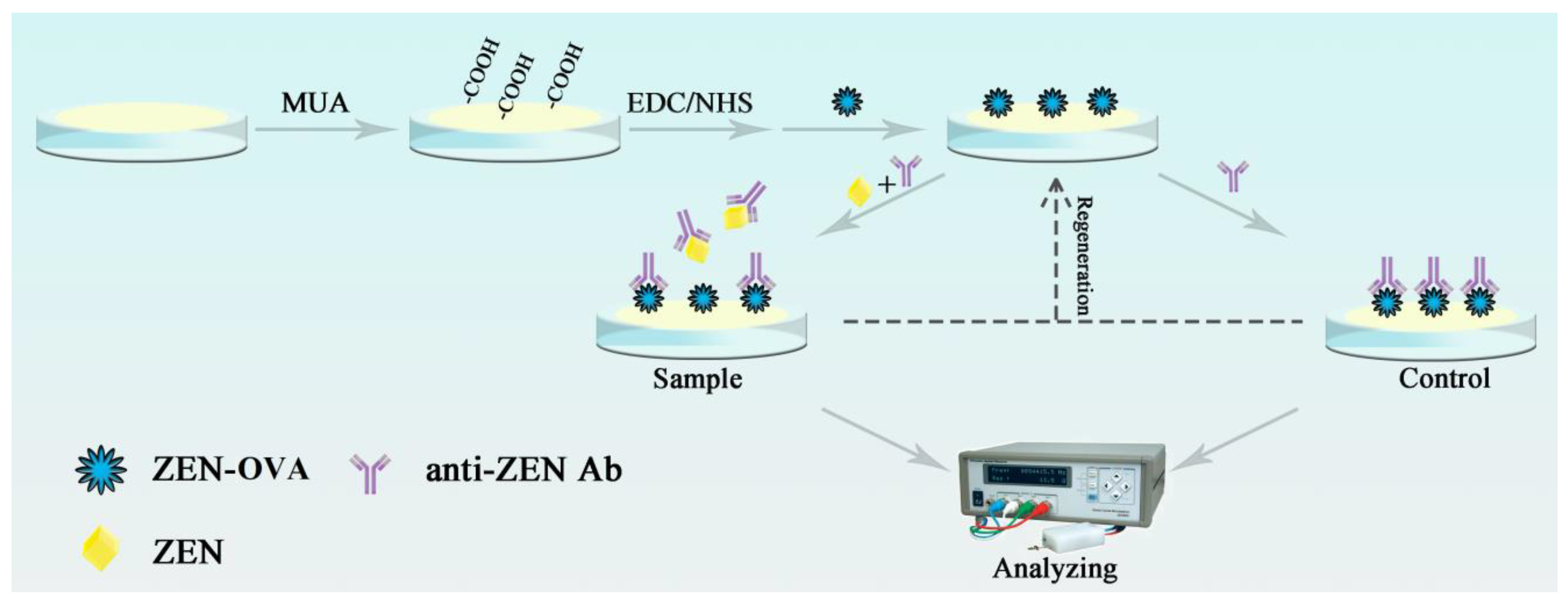 Biosensors 11 00053 g001 Biosensors 11 00053 g001