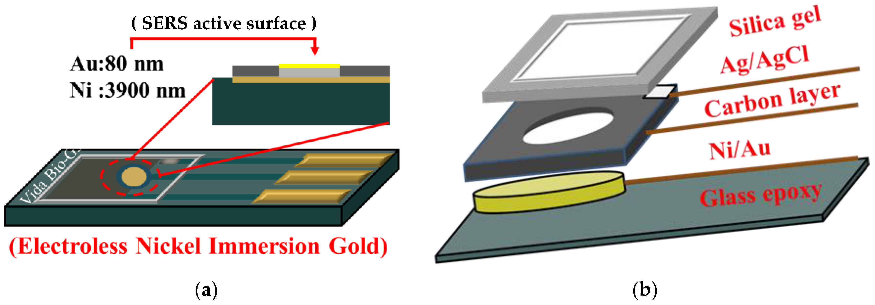 Biosensors 11 00054 g001 Biosensors 11 00054 g001