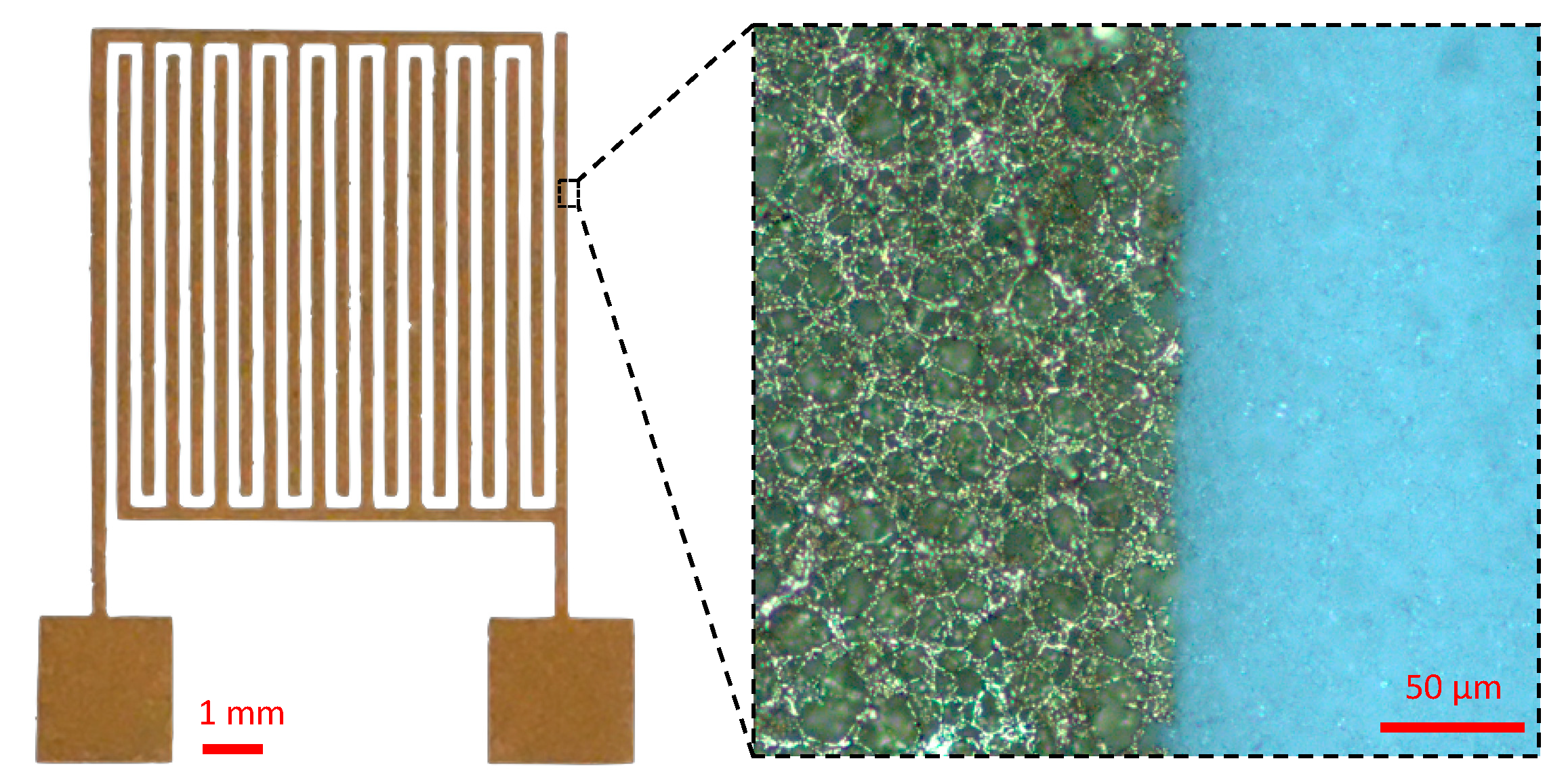 Biosensors 11 00057 g007