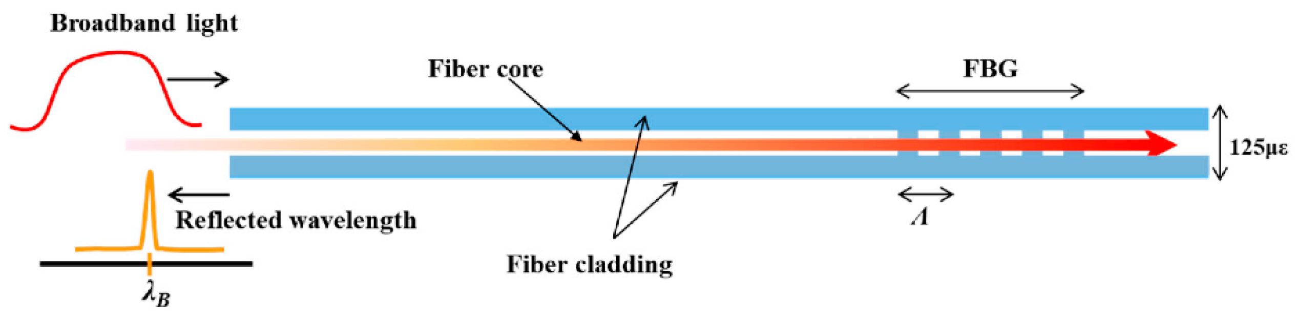 Biosensors 11 00058 g001 Biosensors 11 00058 g001