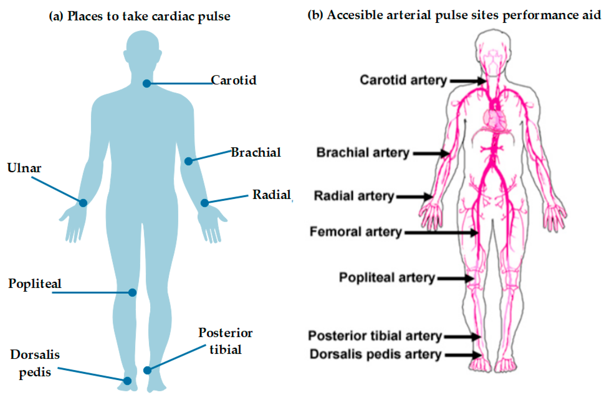 Biosensors 11 00058 g008 Biosensors 11 00058 g008