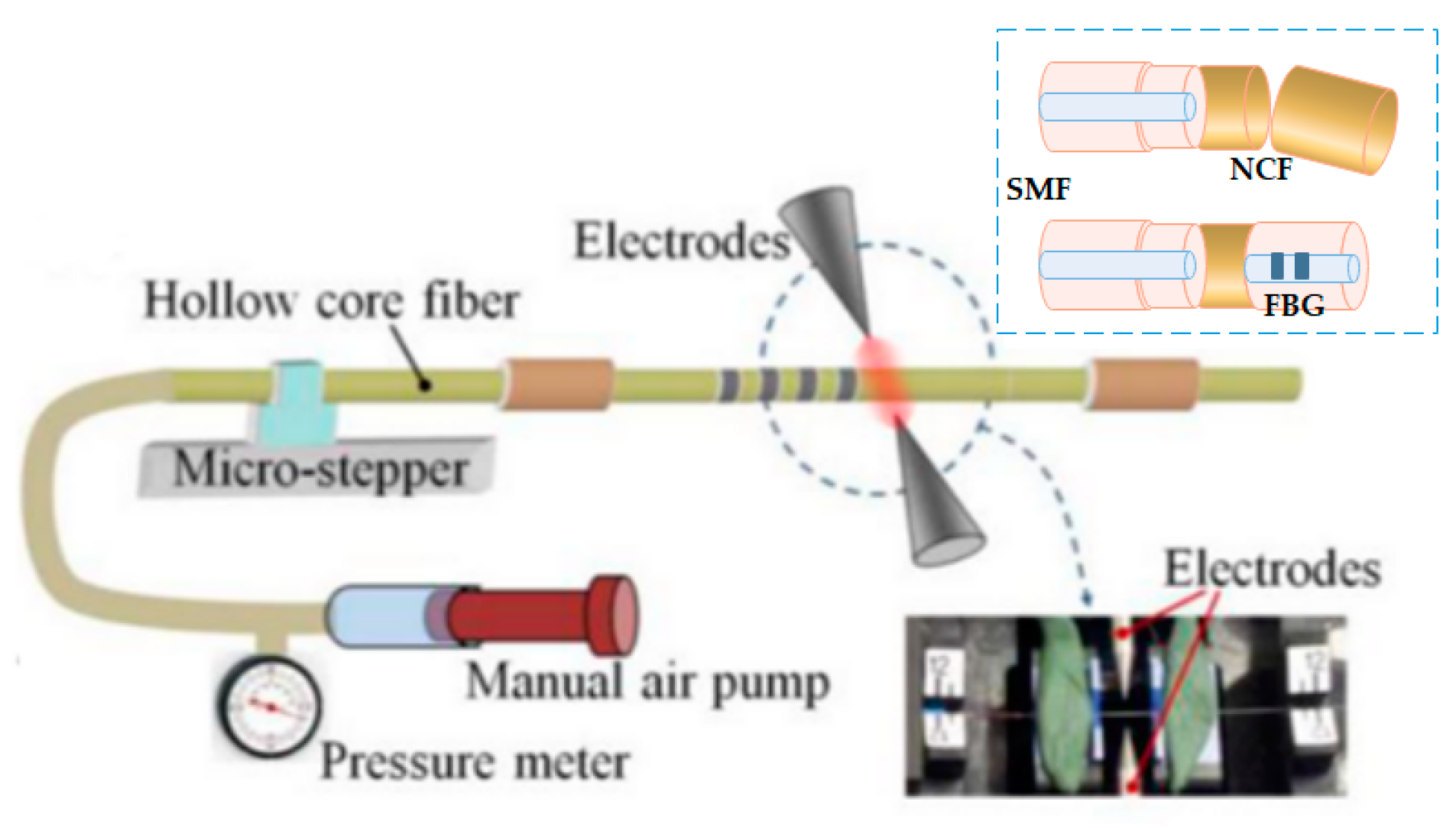 Biosensors 11 00058 g011 Biosensors 11 00058 g011