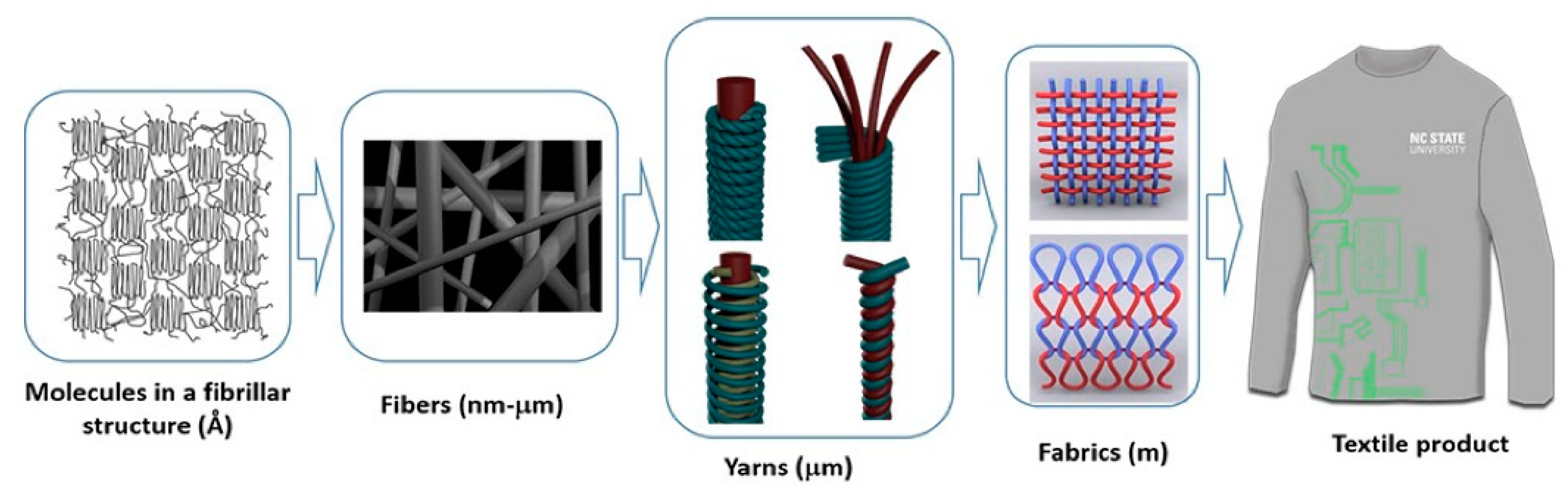 Biosensors 11 00058 g013 Biosensors 11 00058 g013