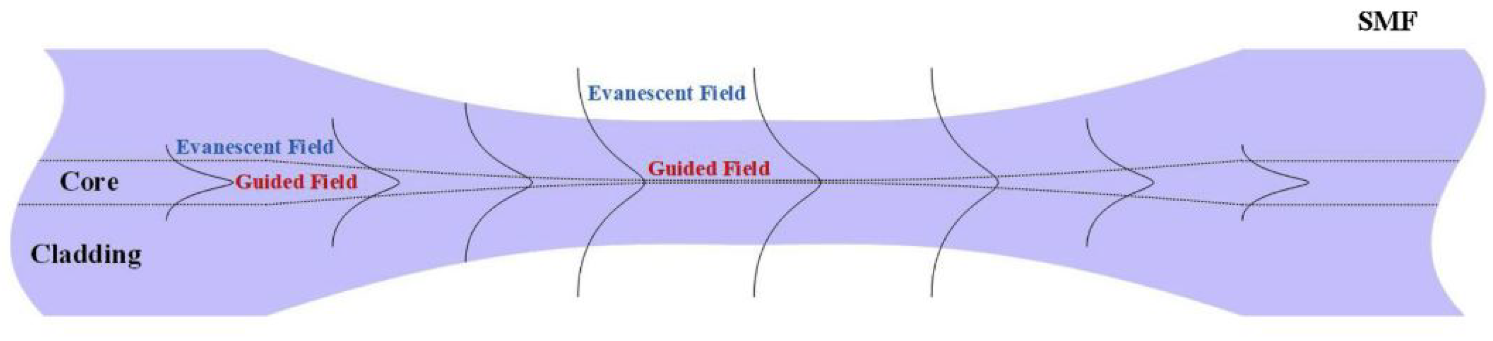 Biosensors 11 00061 g001 Biosensors 11 00061 g001