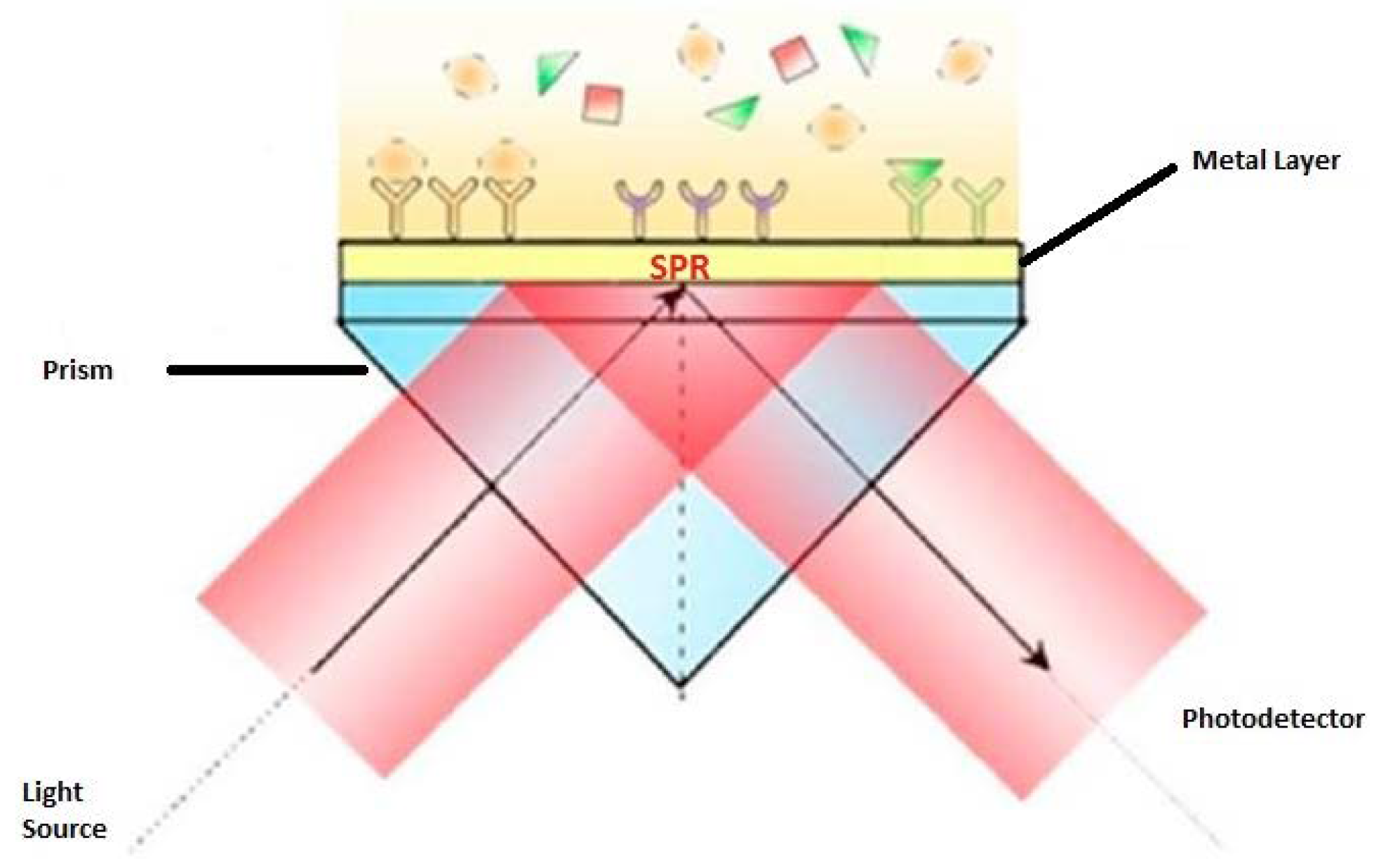 Biosensors 11 00061 g003 Biosensors 11 00061 g003