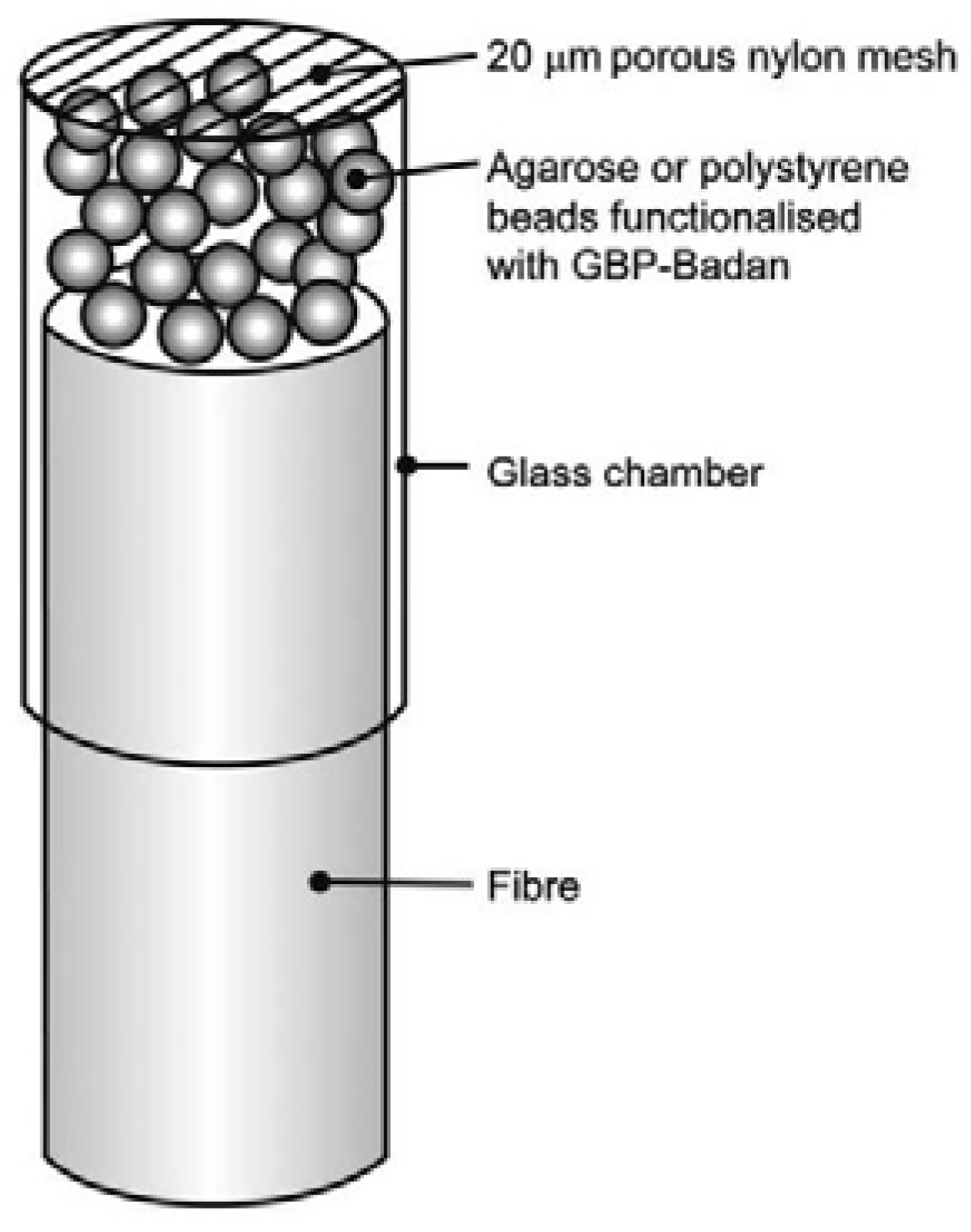 Biosensors 11 00061 g007 Biosensors 11 00061 g007