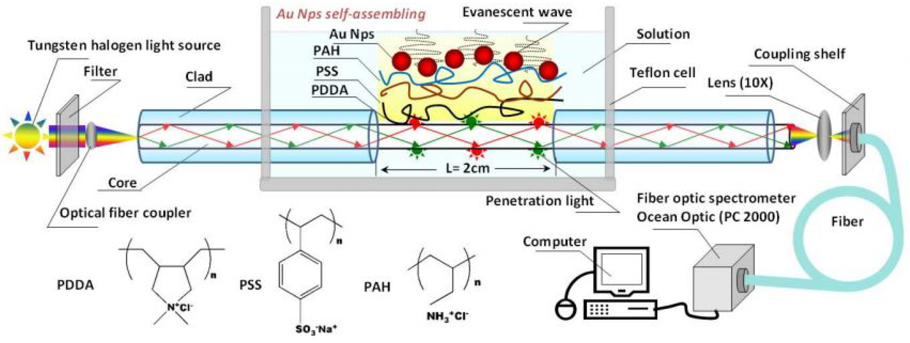 Biosensors 11 00061 g012 Biosensors 11 00061 g012