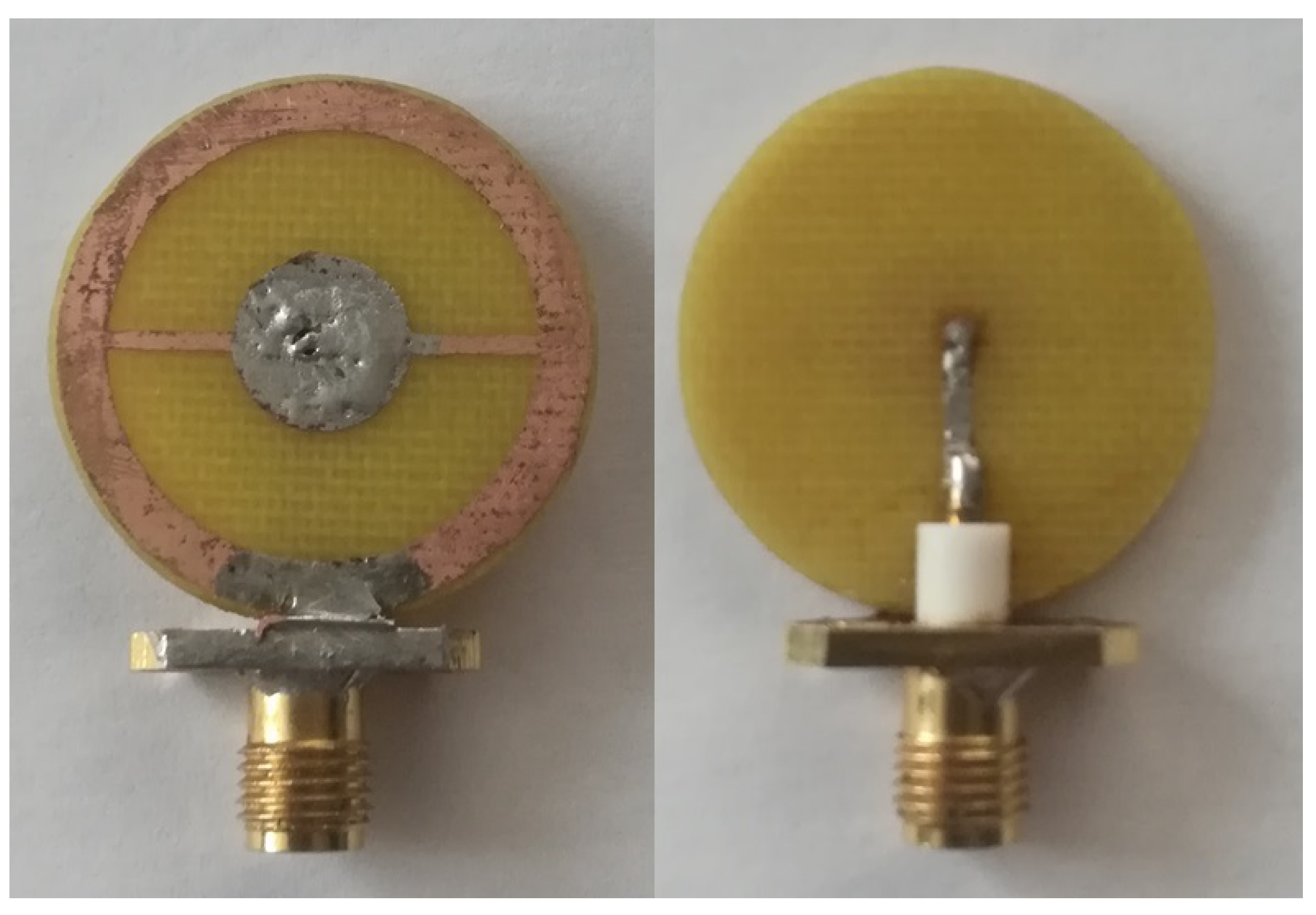 Biosensors 11 00062 g006