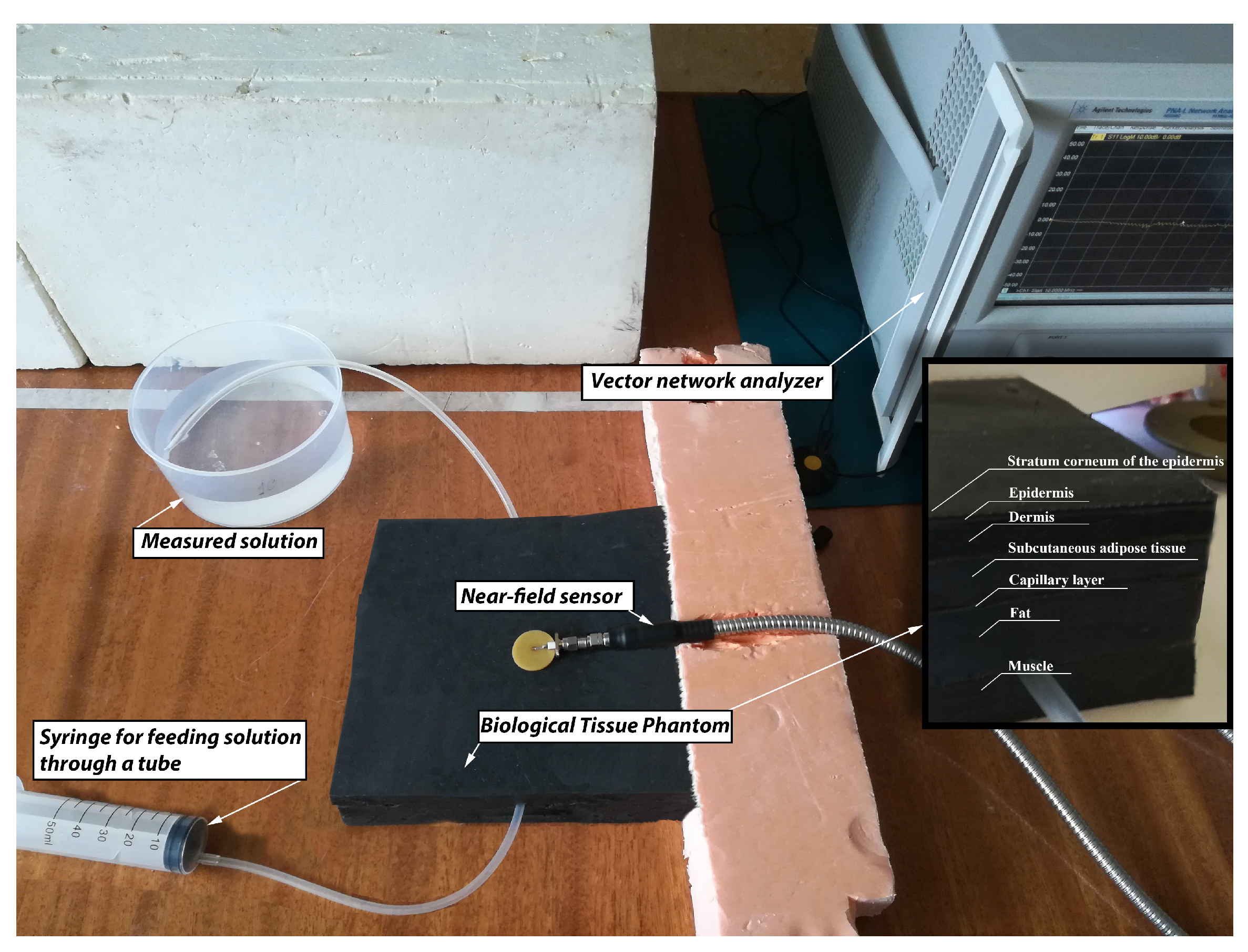 Biosensors 11 00062 g010