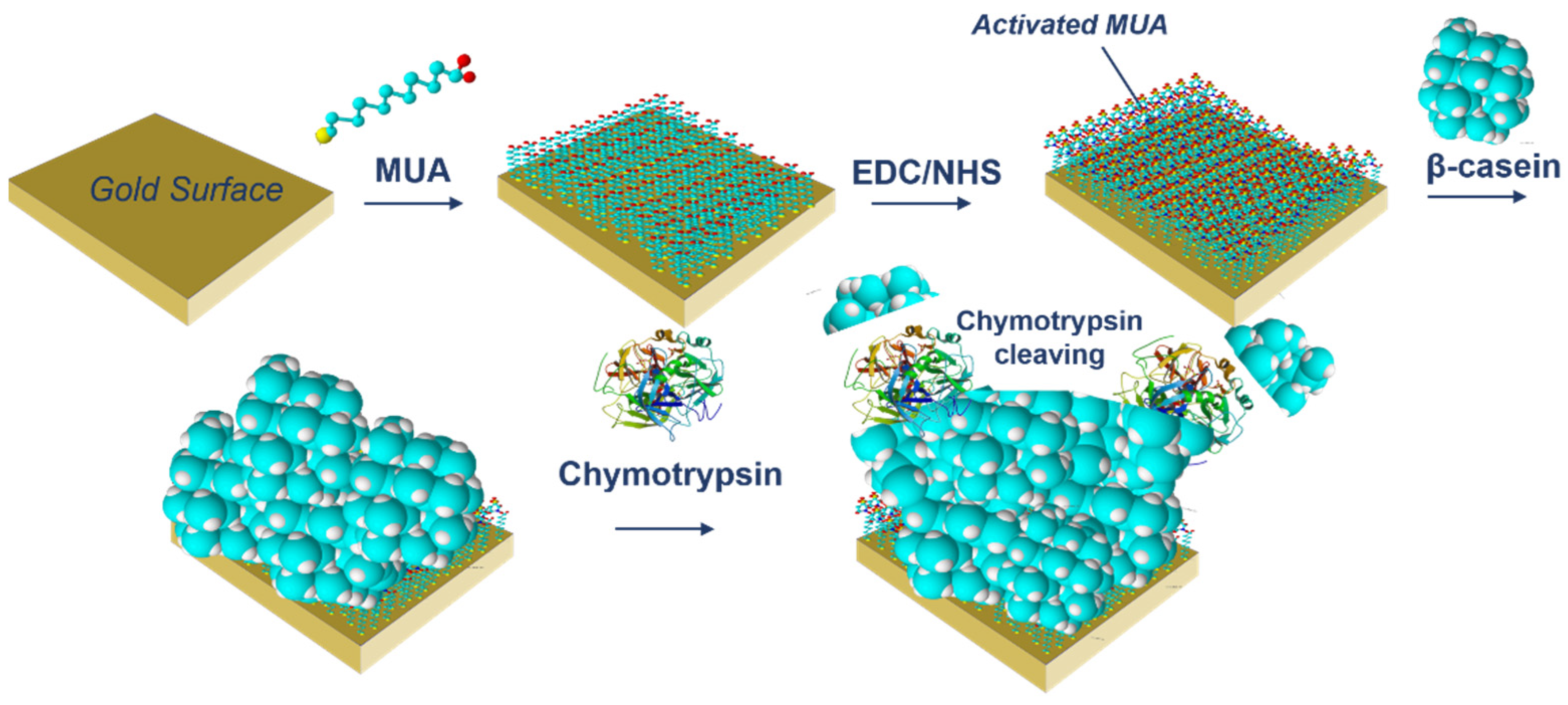 Biosensors 11 00063 g002