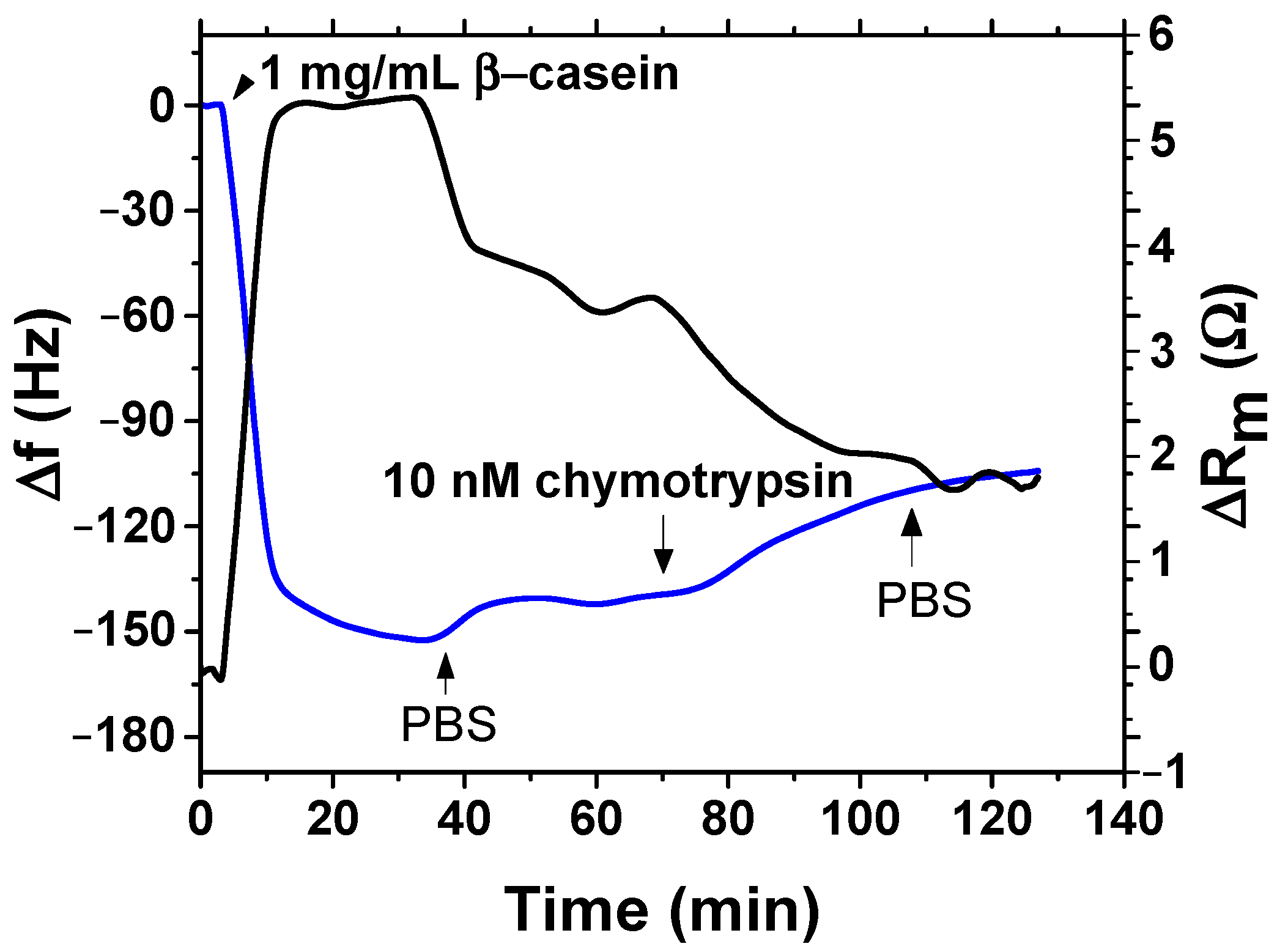 Biosensors 11 00063 g010