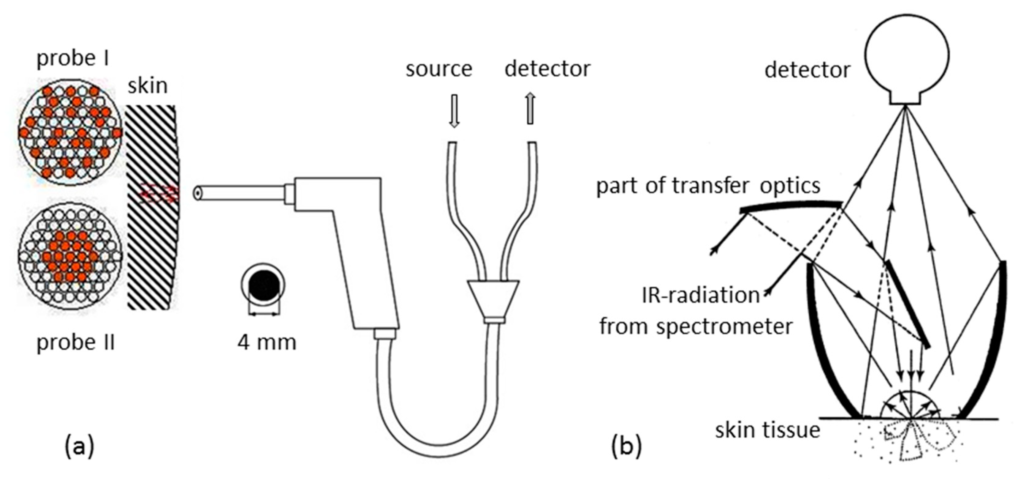 Biosensors 11 00064 g001