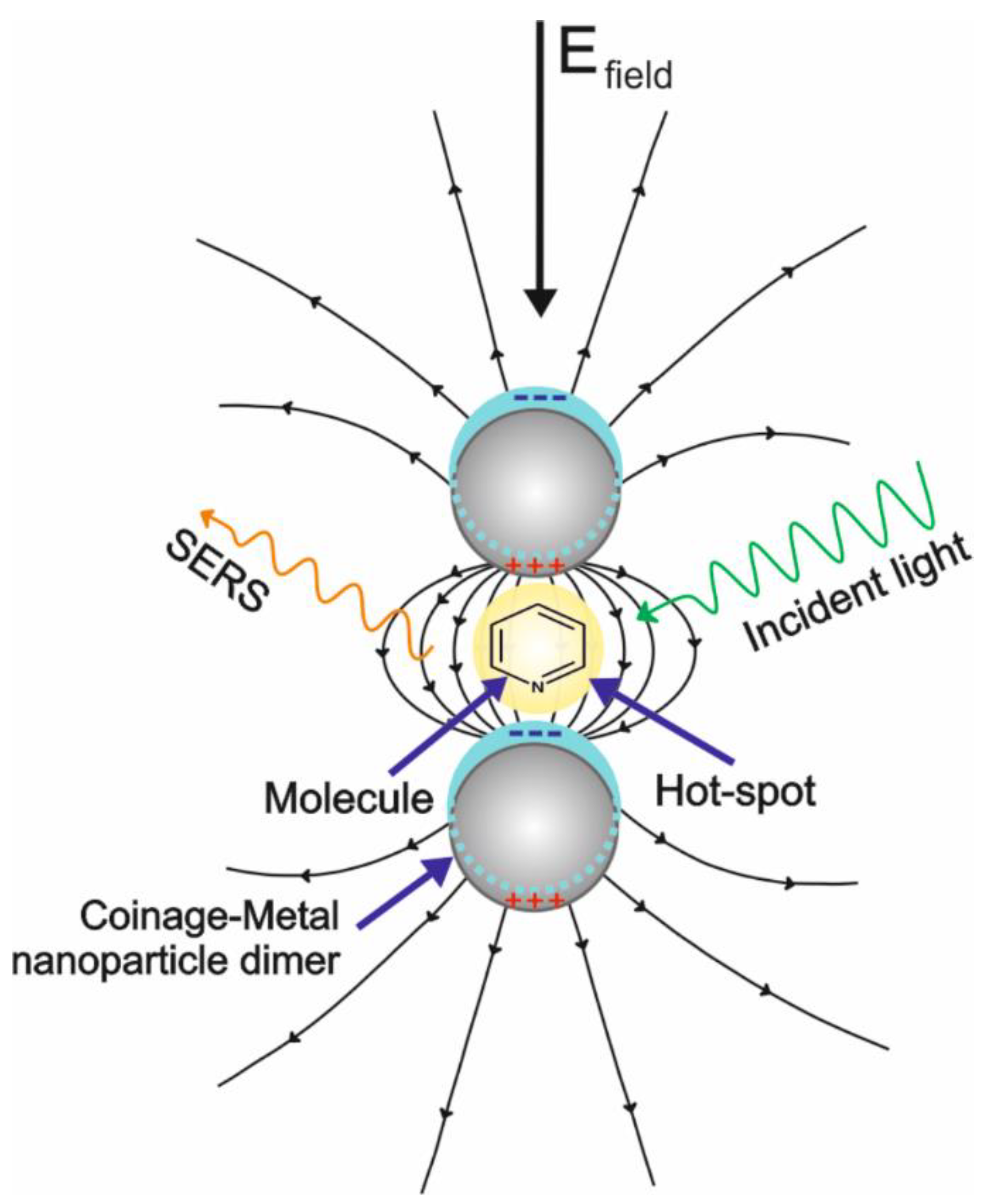 Jg is the diameter of m. which conclusion cannot be drawn from the diagram