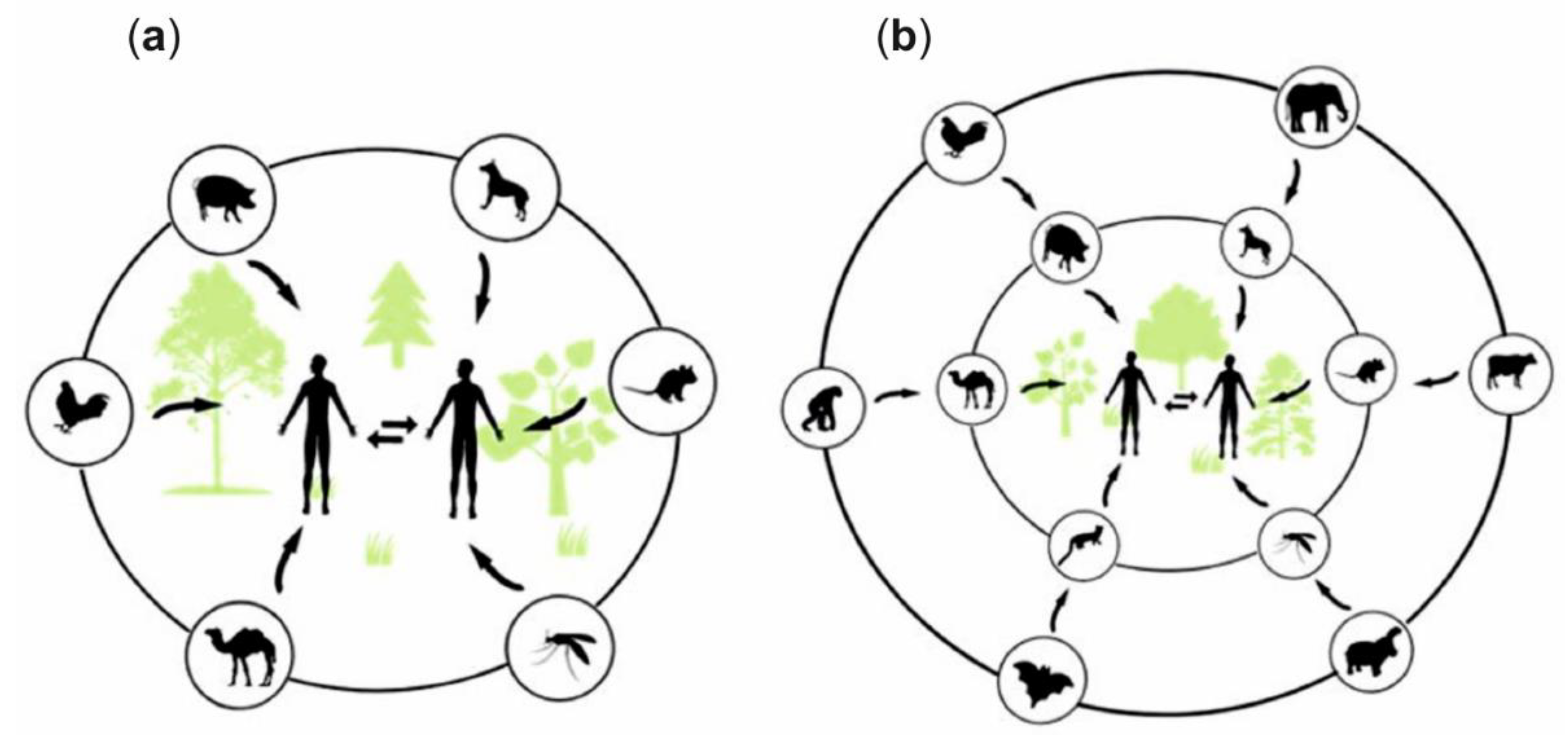 Biosensors 11 00066 g003 Biosensors 11 00066 g003