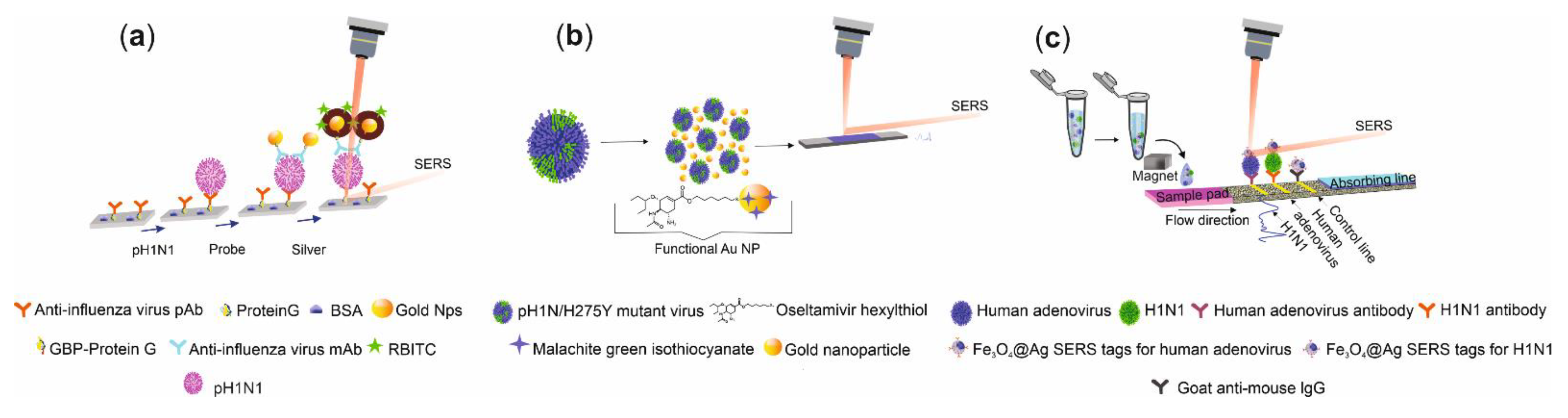 Biosensors 11 00066 g005 Biosensors 11 00066 g005