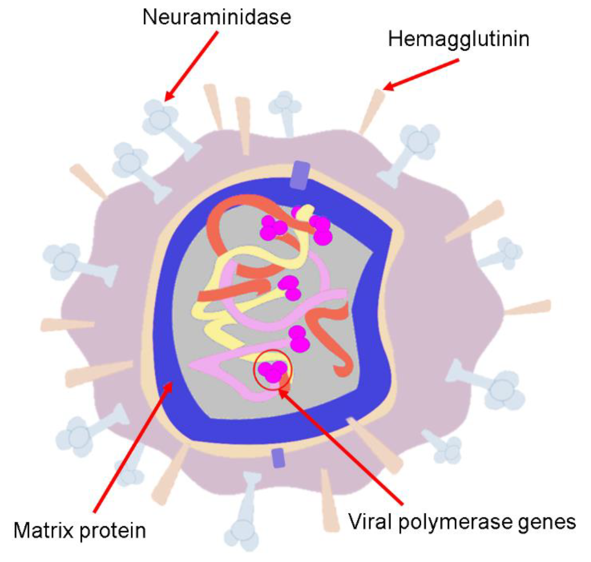Biosensors 11 00066 g006 Biosensors 11 00066 g006