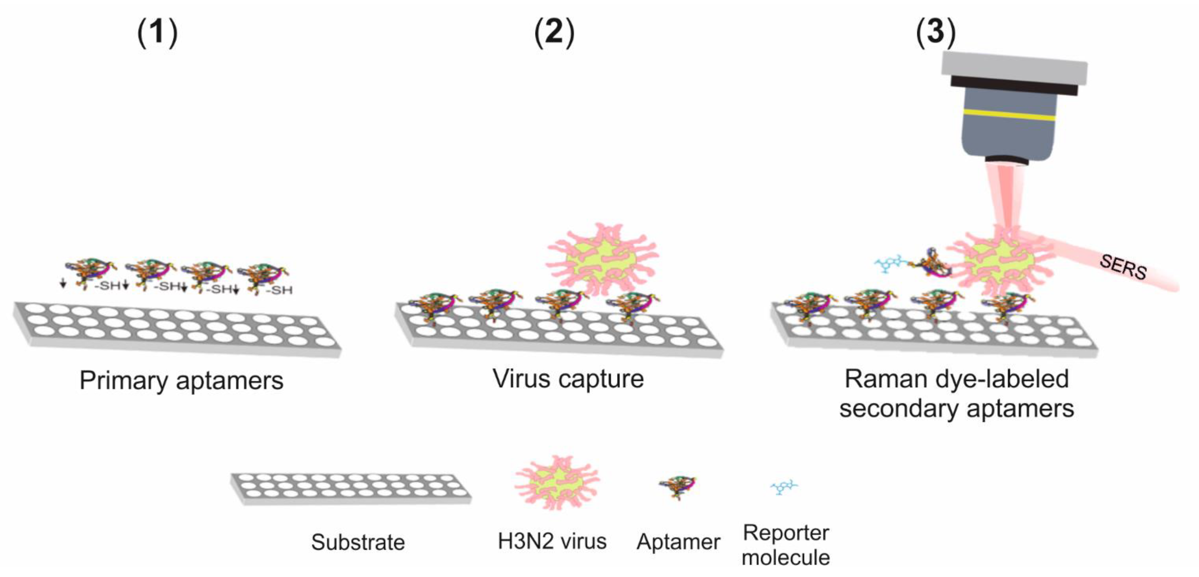 Biosensors 11 00066 g010 Biosensors 11 00066 g010