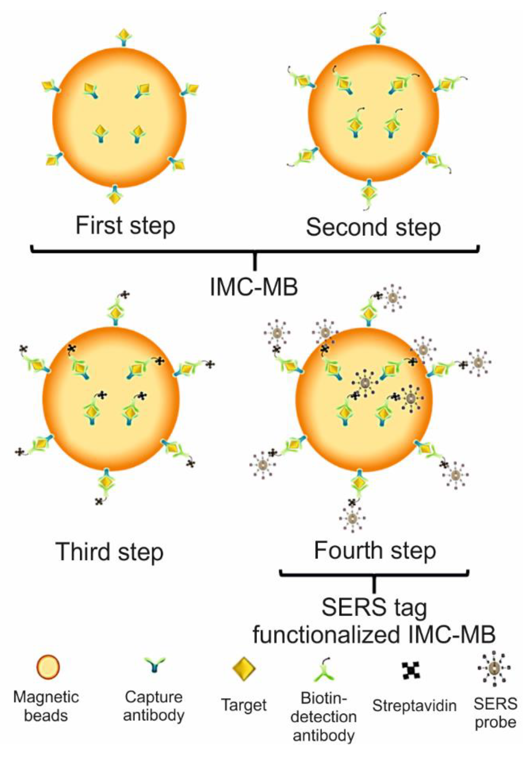 Biosensors 11 00066 g011 Biosensors 11 00066 g011