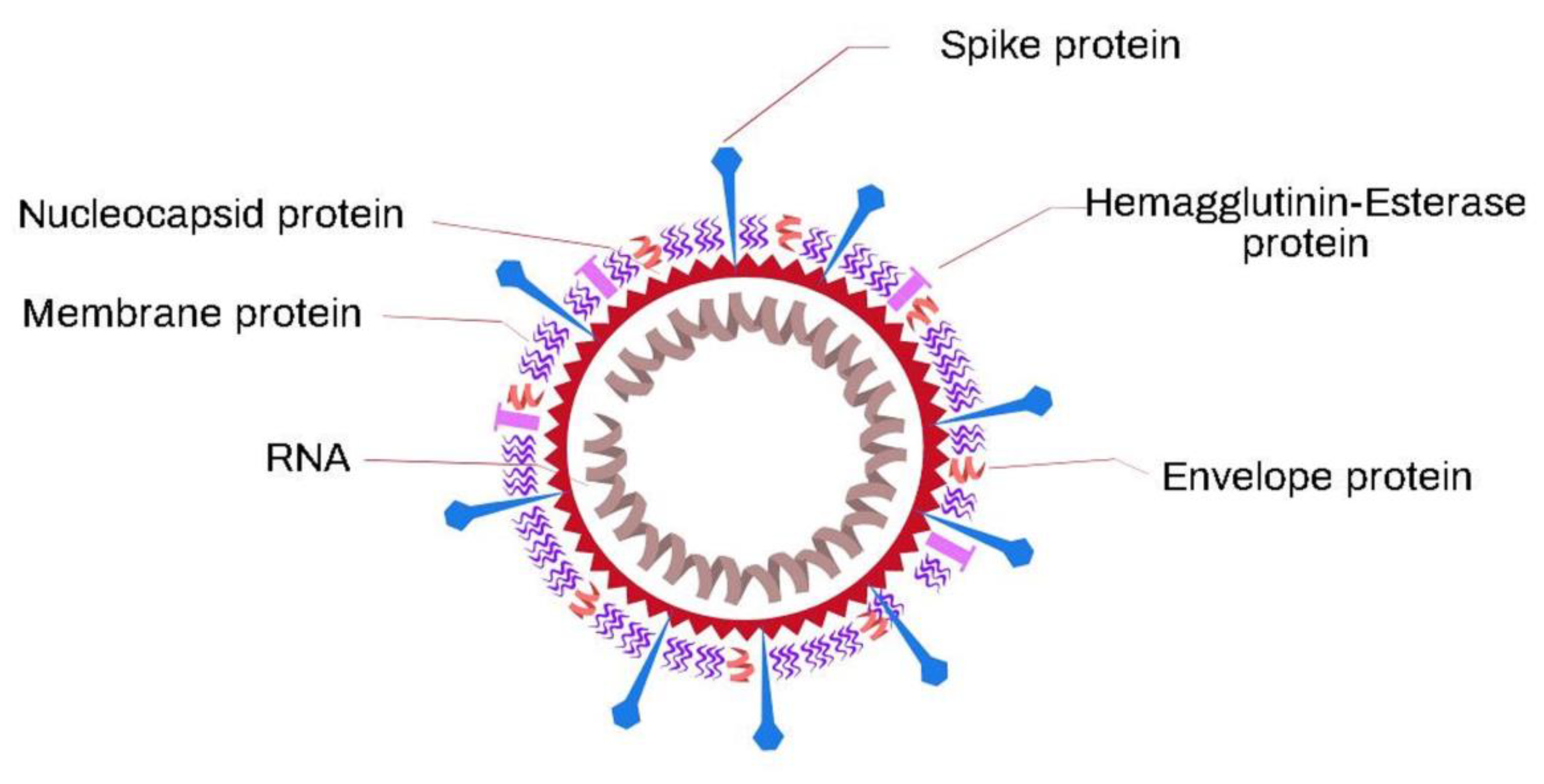 Biosensors 11 00066 g012 Biosensors 11 00066 g012