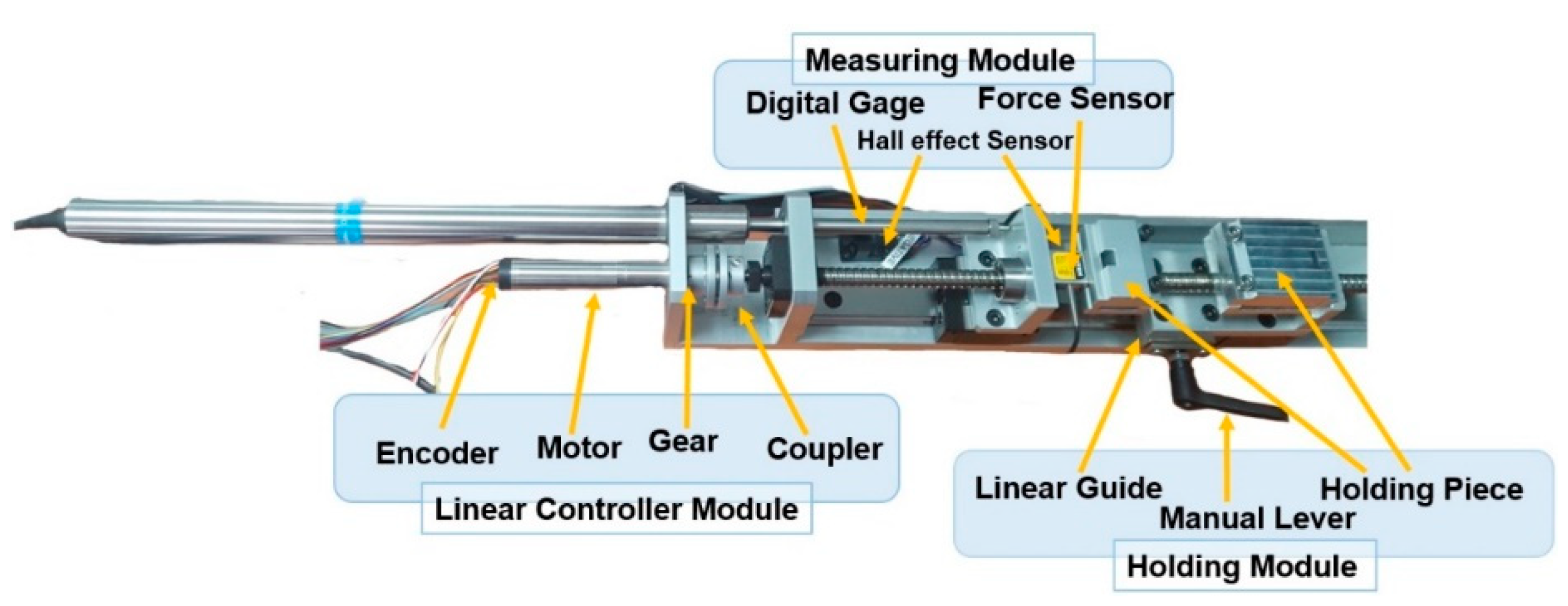 Biosensors 11 00067 g001 Biosensors 11 00067 g001