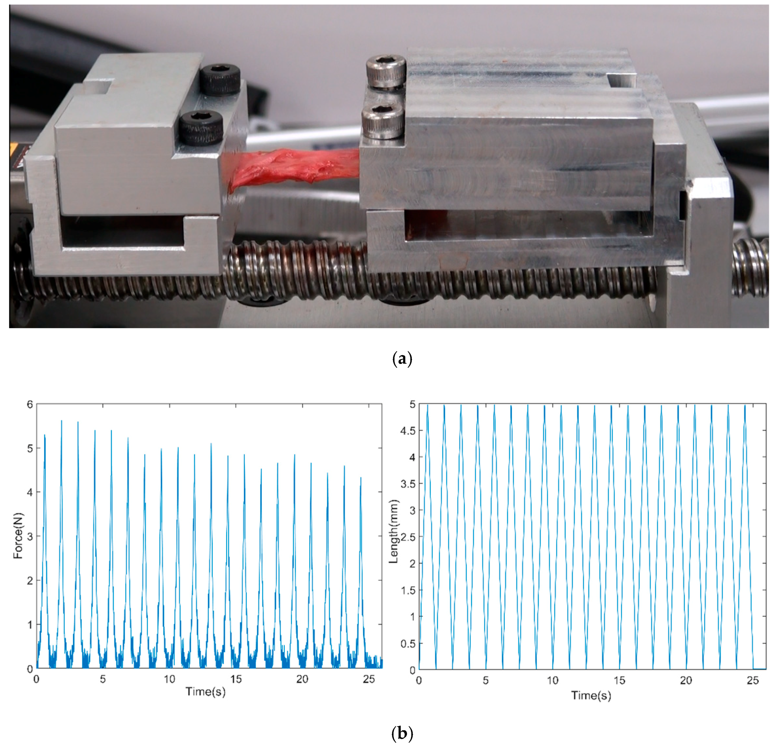 Biosensors 11 00067 g003 Biosensors 11 00067 g003