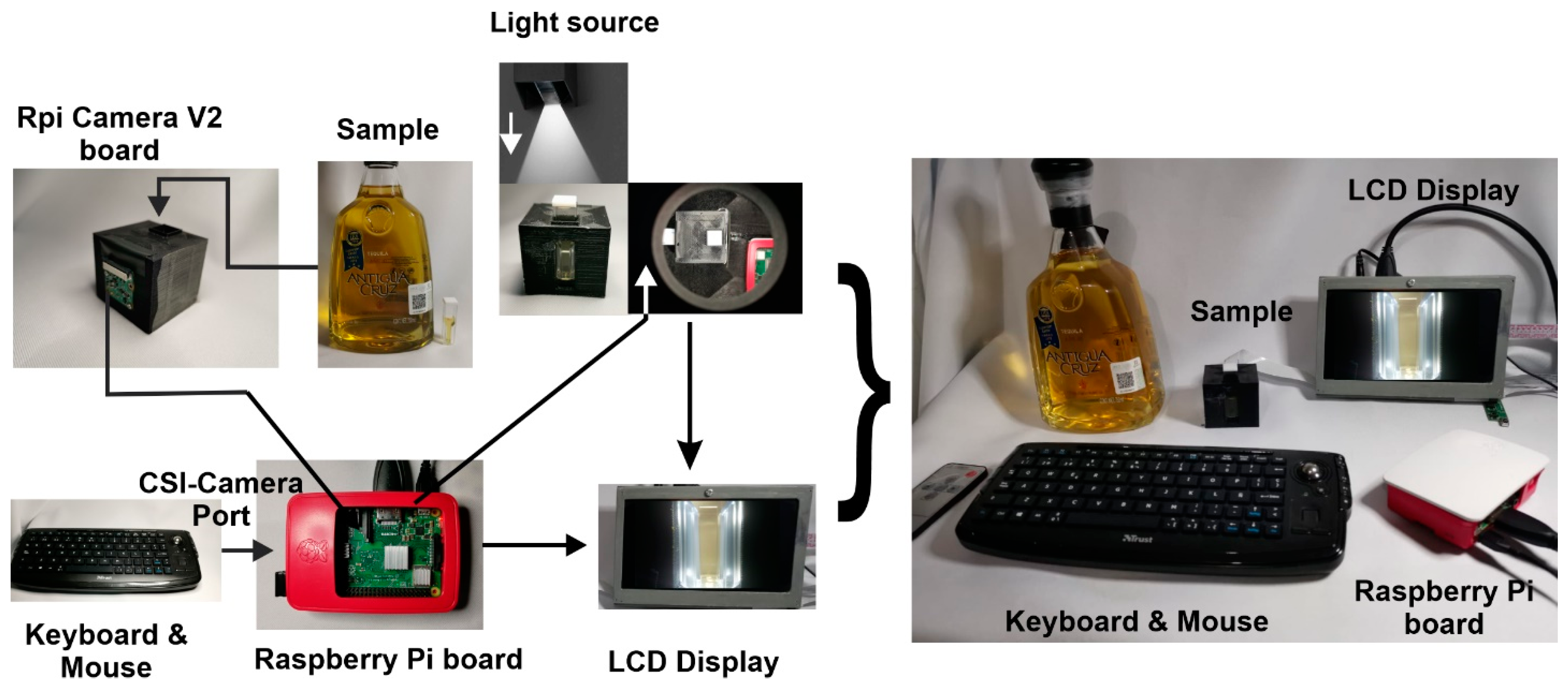 Biosensors 11 00068 g001