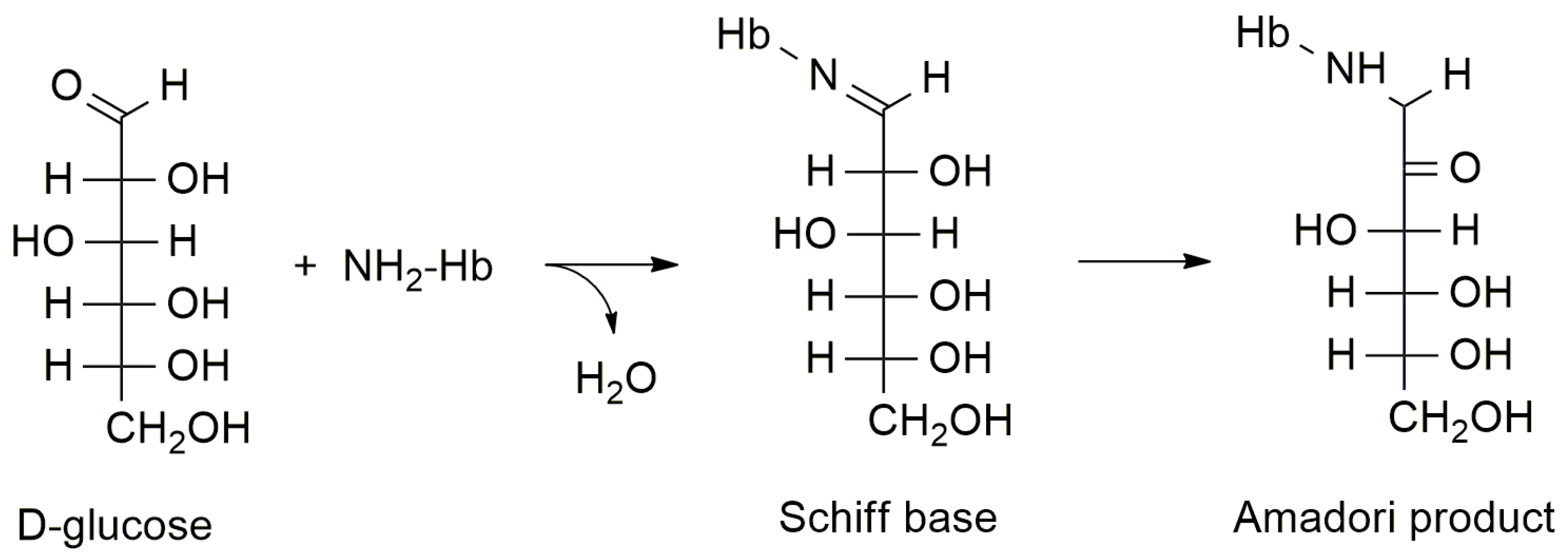 Biosensors 11 00070 g001 Biosensors 11 00070 g001