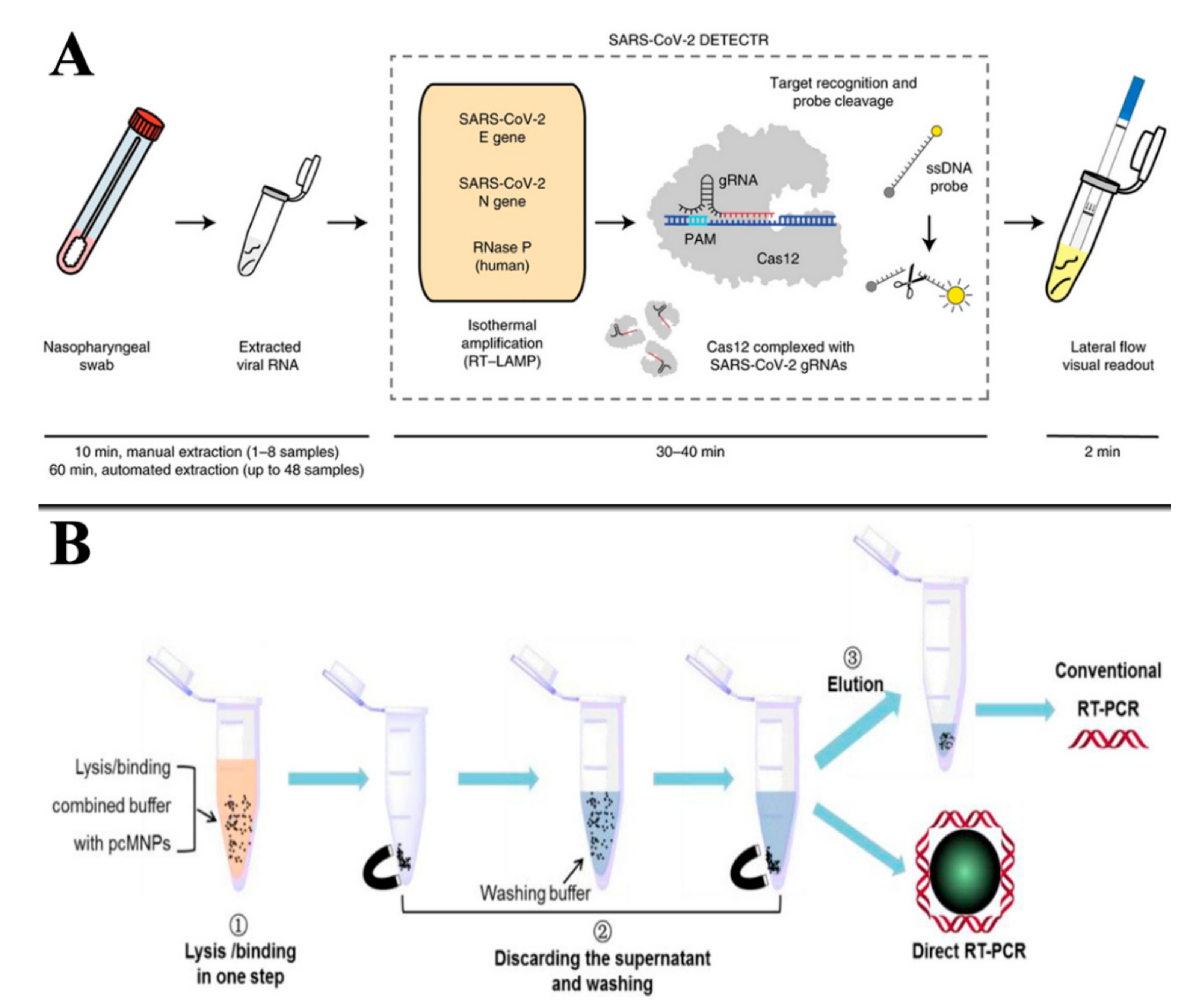 Biosensors 11 00071 g003 Biosensors 11 00071 g003