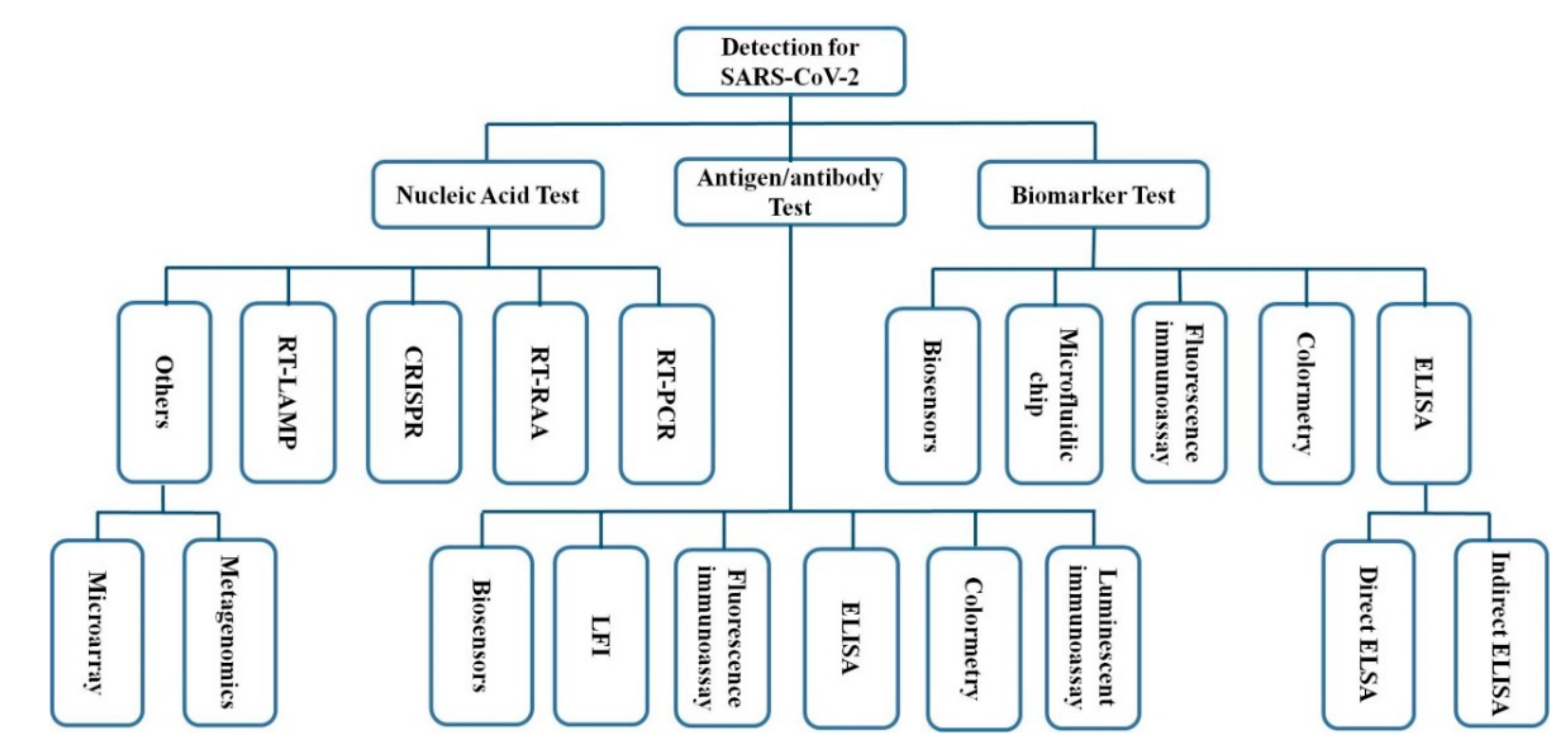 Biosensors 11 00071 g008 Biosensors 11 00071 g008