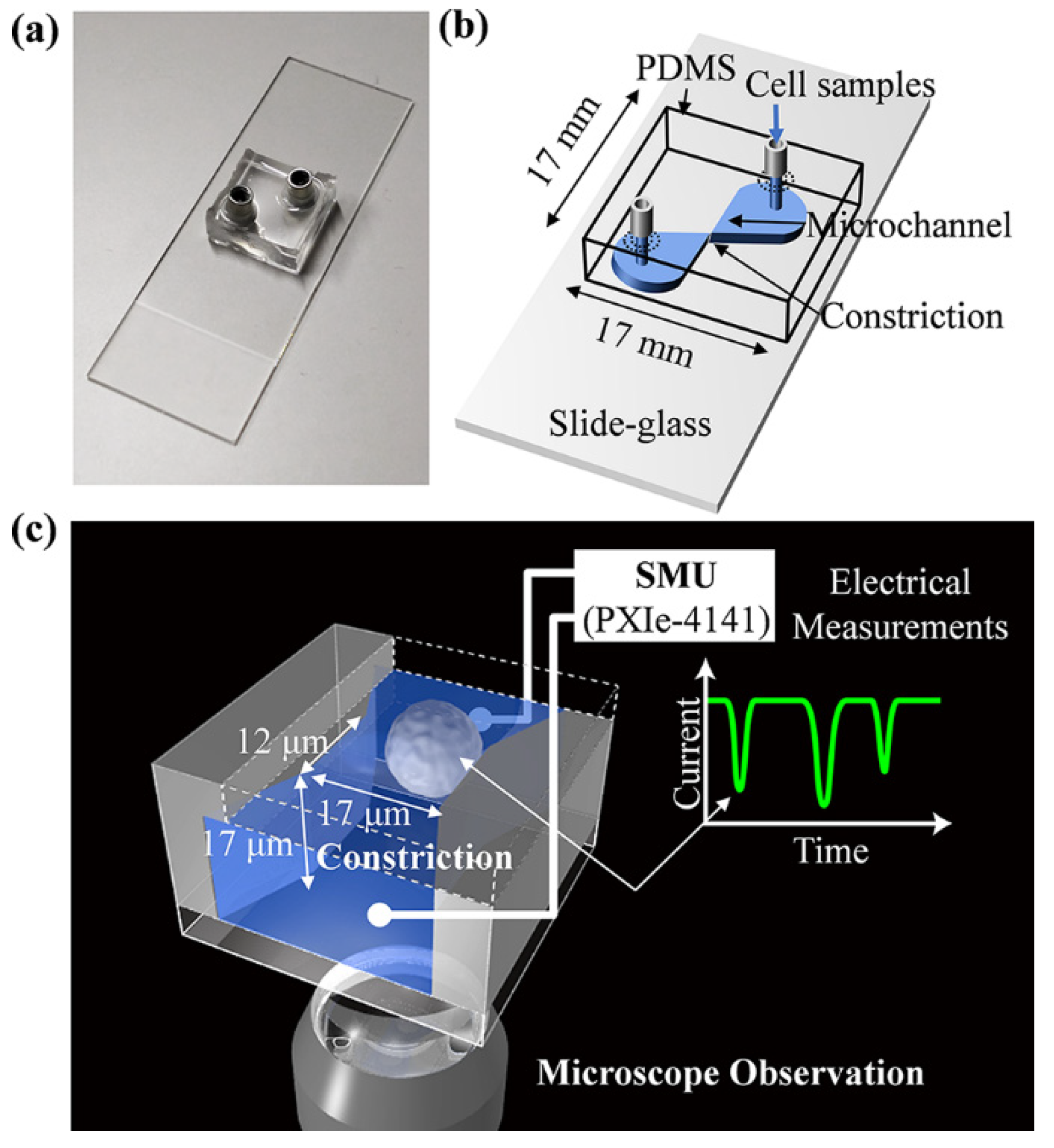 Biosensors 11 00078 g001 Biosensors 11 00078 g001