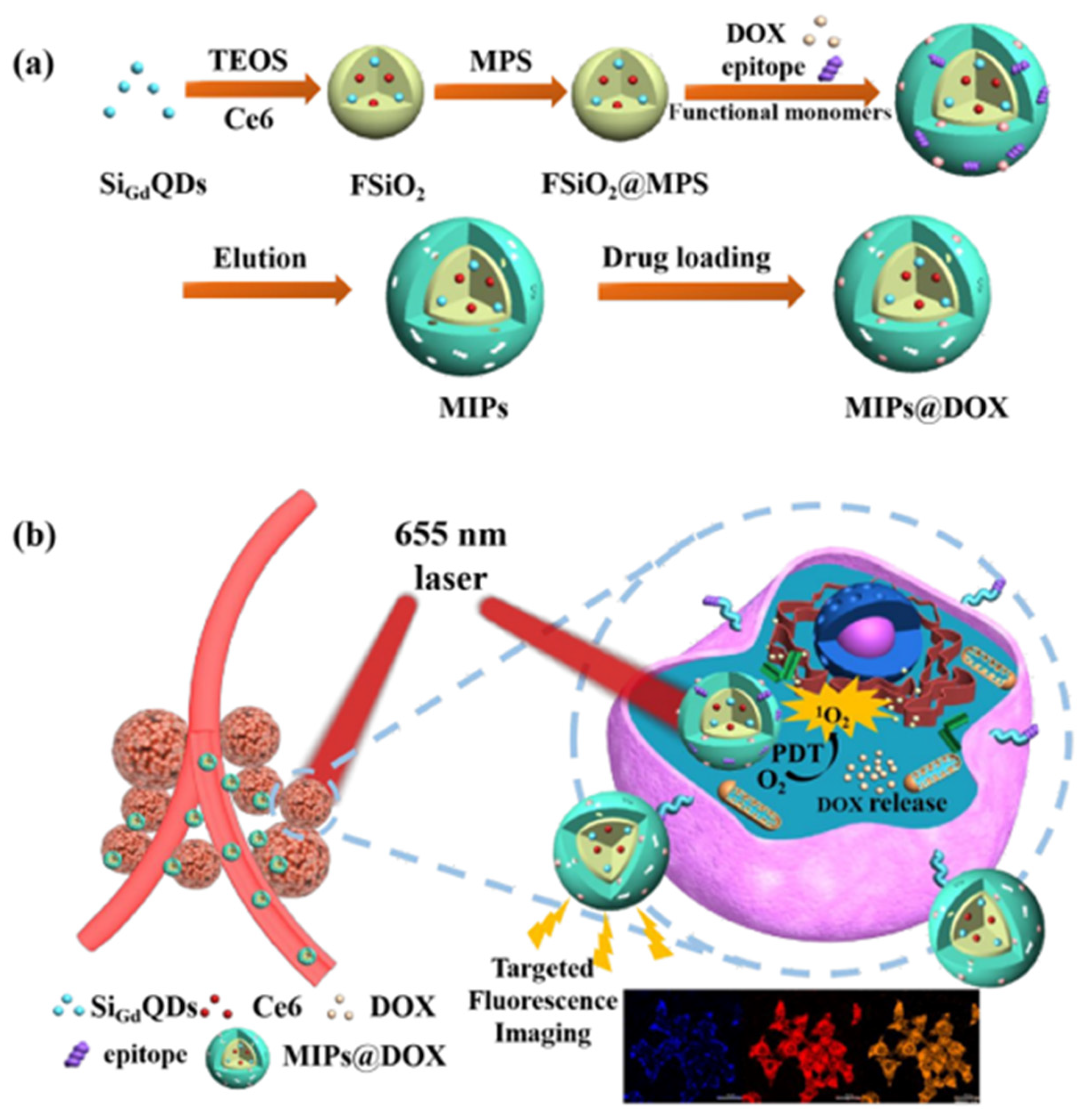Biosensors 11 00079 g008 Biosensors 11 00079 g008