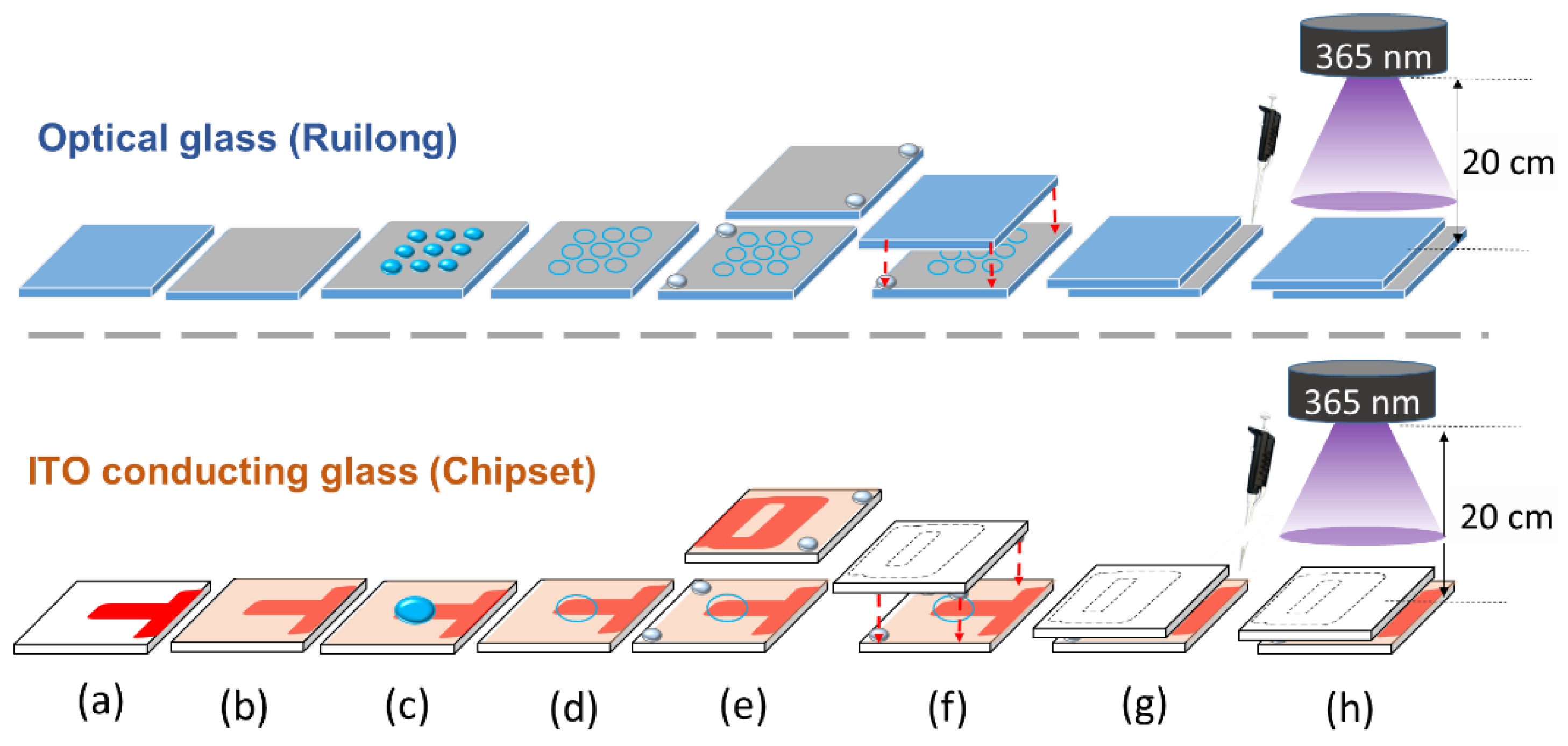 Biosensors 11 00081 g001
