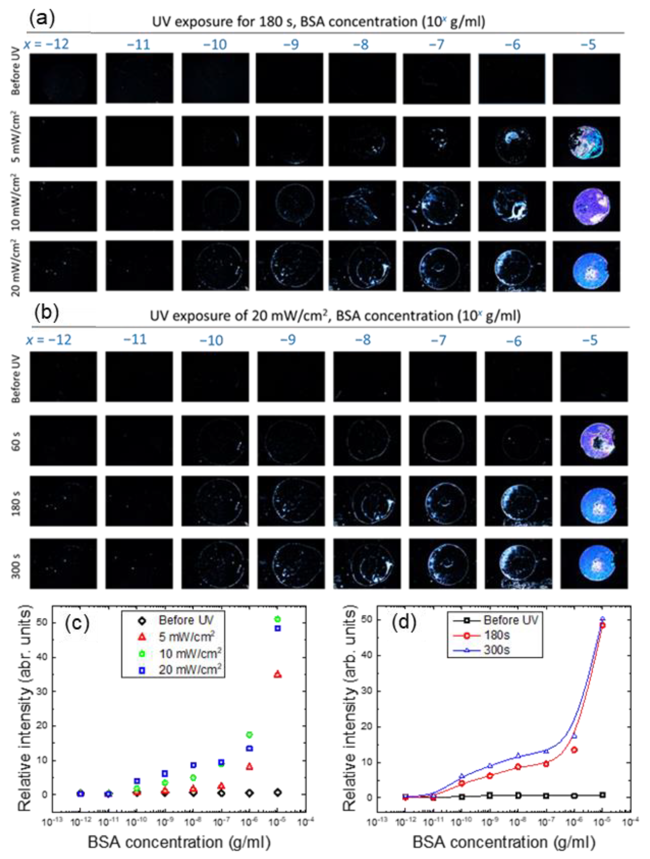 Biosensors 11 00081 g005