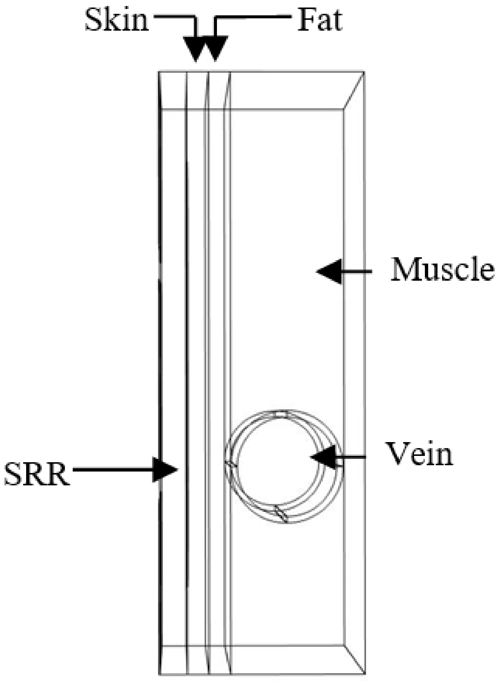 Biosensors 11 00083 g004 Biosensors 11 00083 g004