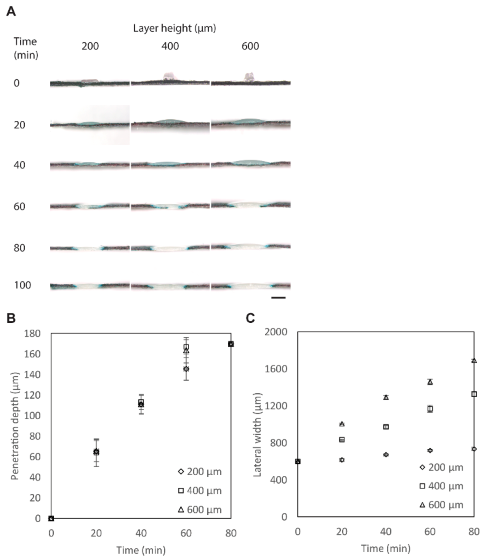 Biosensors 11 00084 g002