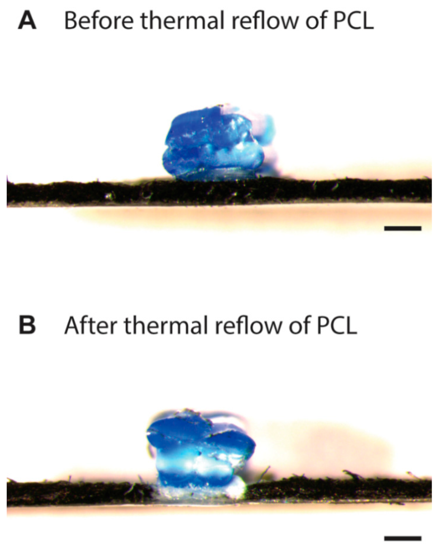 Biosensors 11 00084 g003