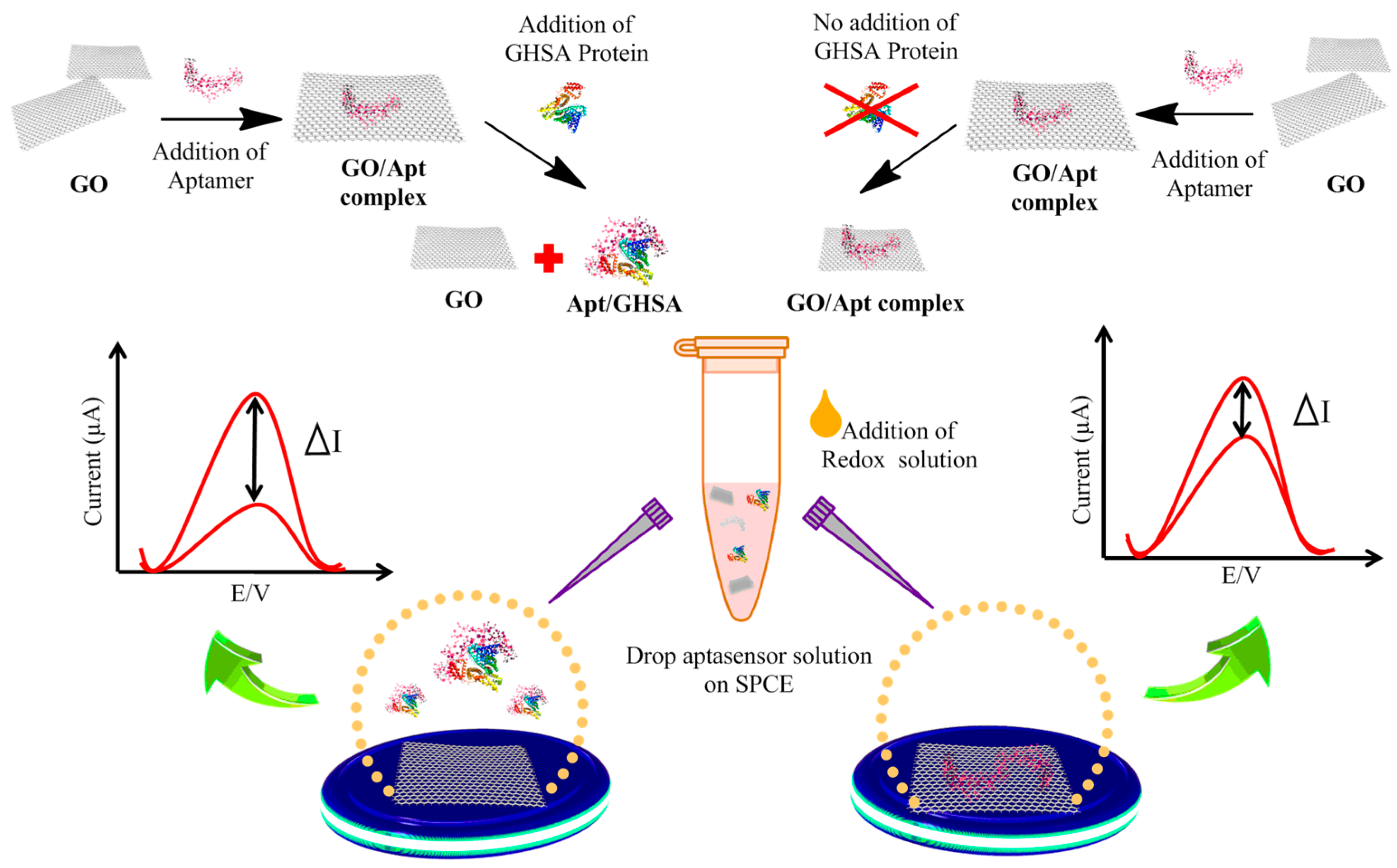 Biosensors 11 00085 g001 Biosensors 11 00085 g001
