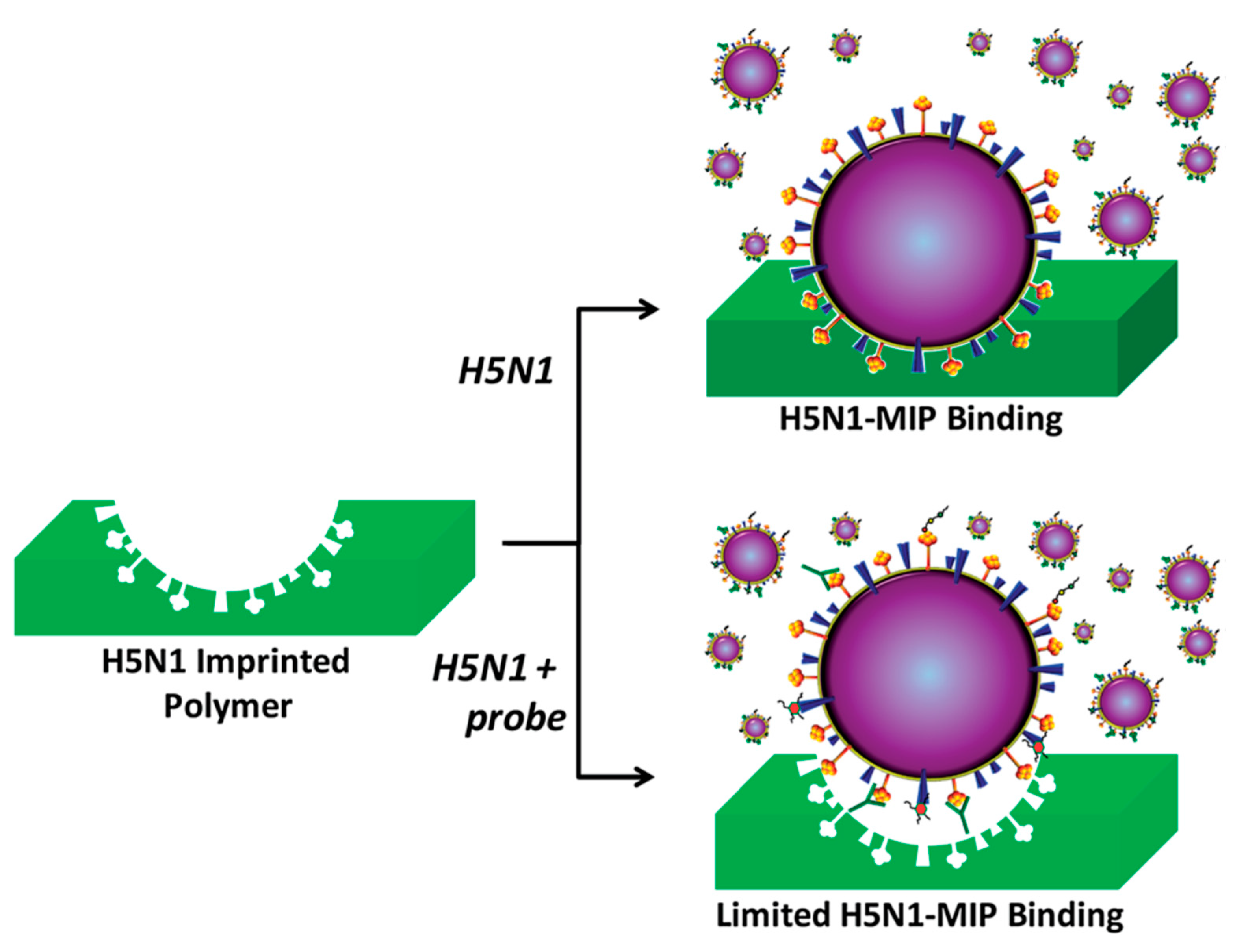 Biosensors 11 00089 g002