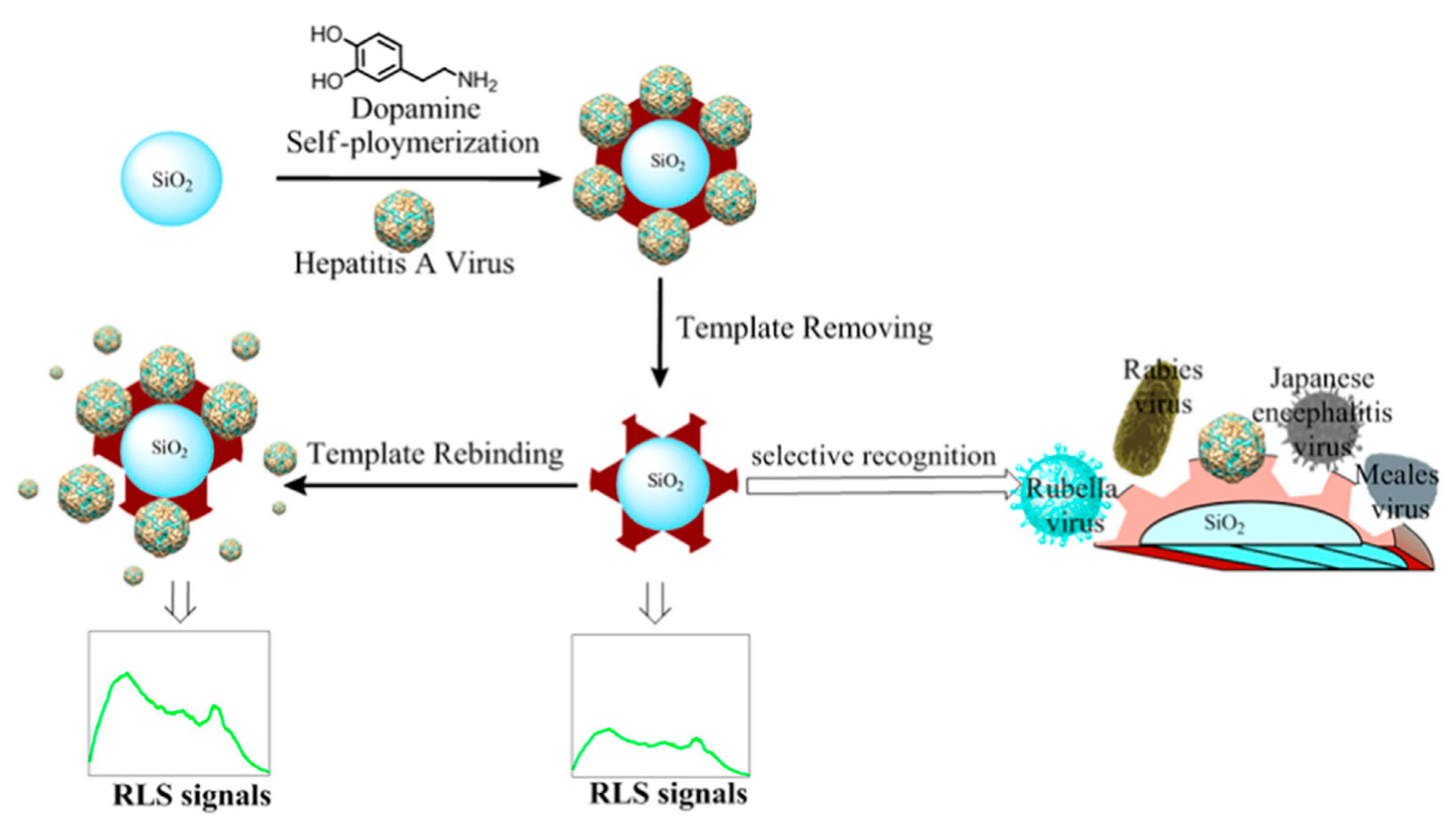 Biosensors 11 00089 g003