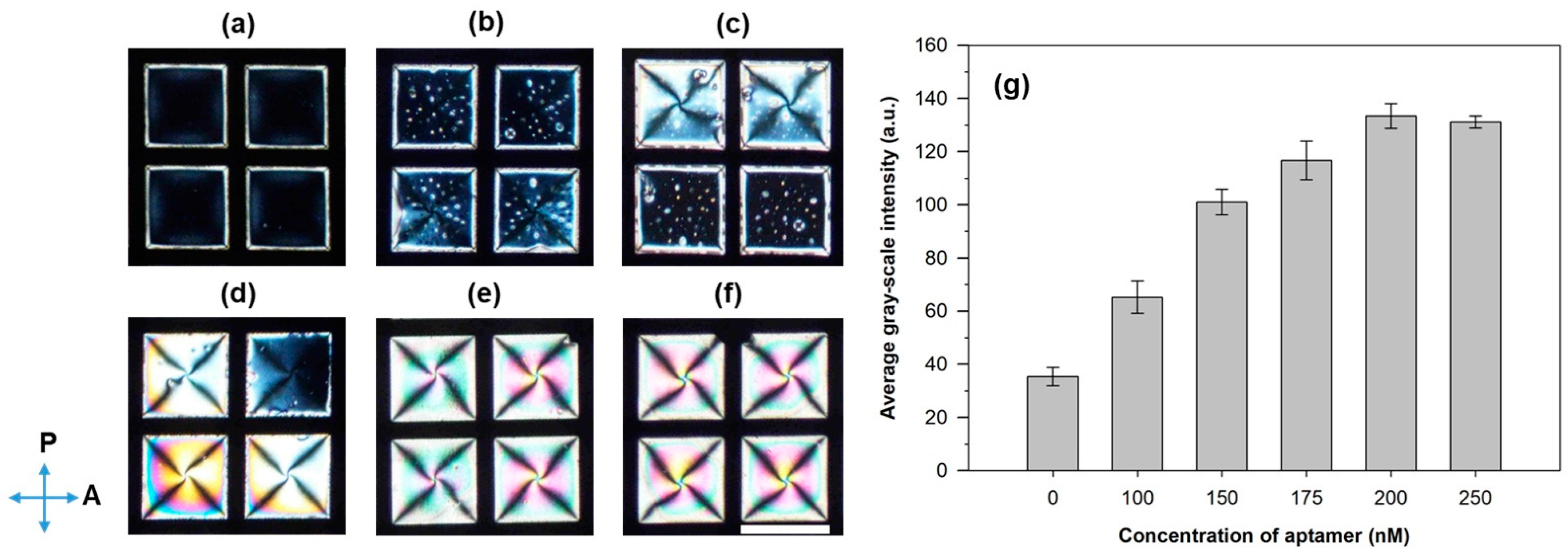 Biosensors 11 00092 g002