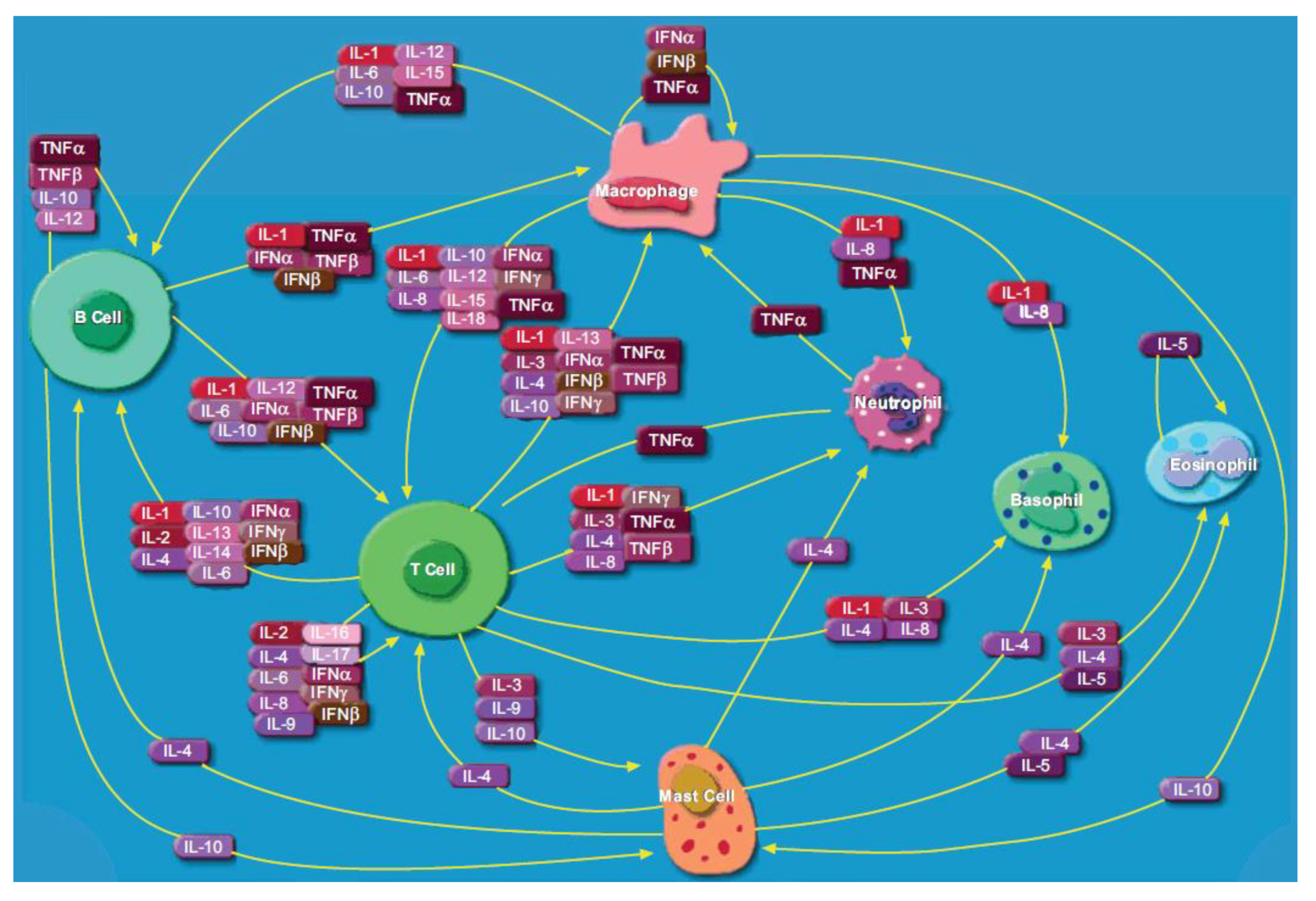 Biosensors 11 00094 g001 Biosensors 11 00094 g001