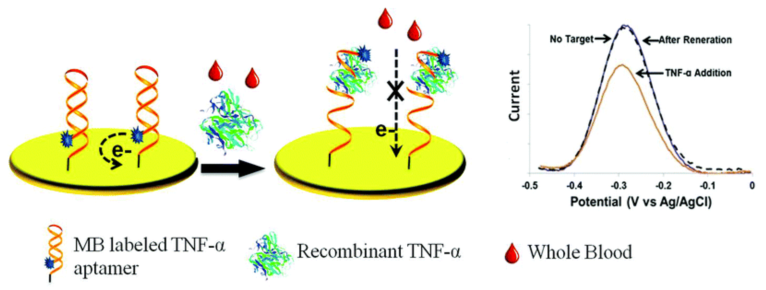 Biosensors 11 00094 g003 Biosensors 11 00094 g003