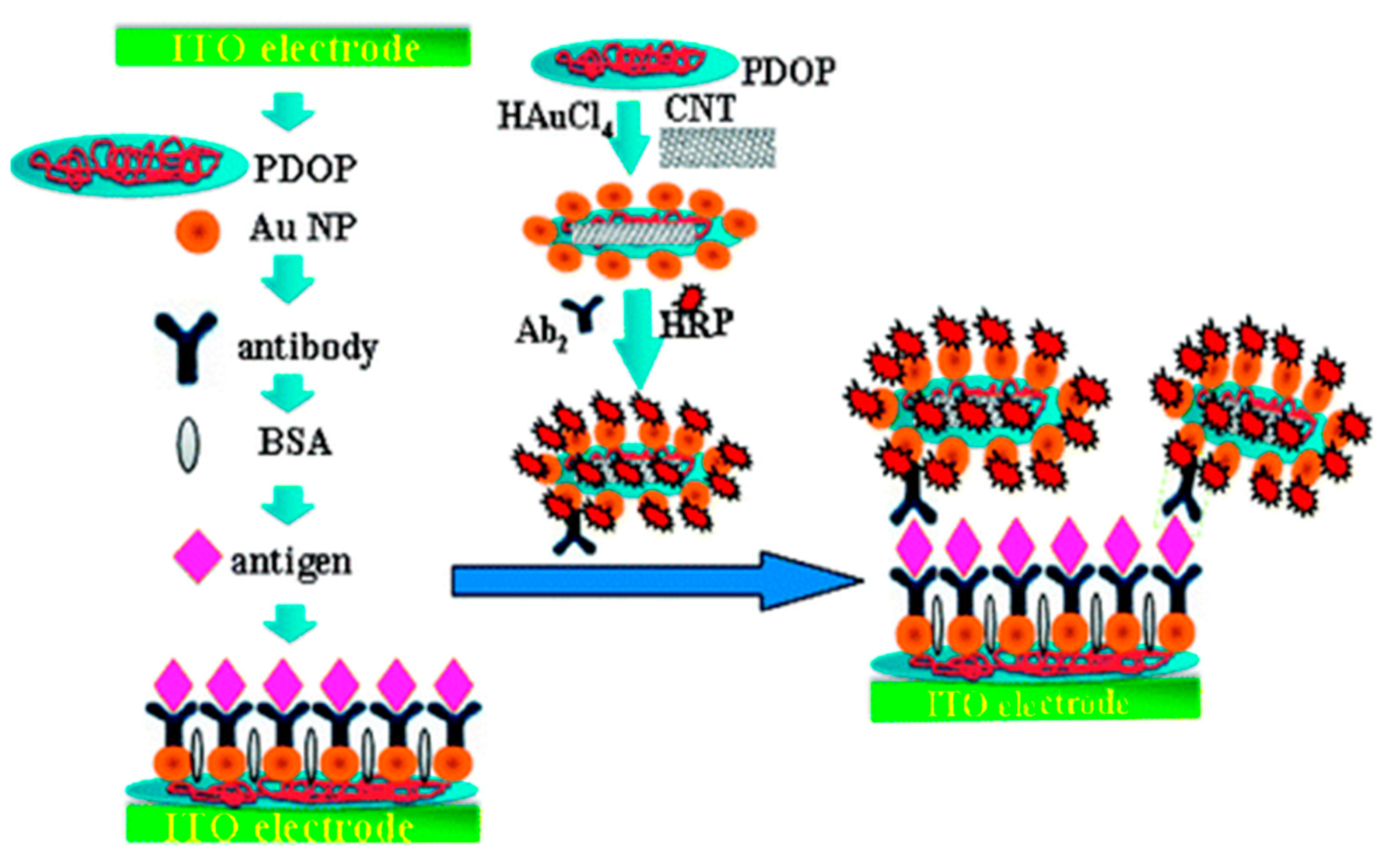 Biosensors 11 00094 g005 Biosensors 11 00094 g005