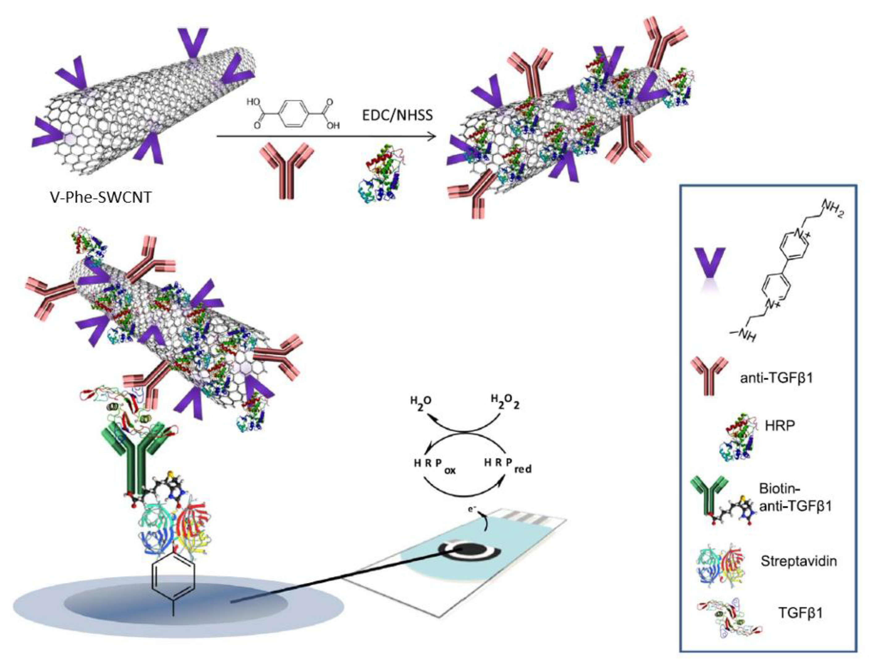 Biosensors 11 00094 g006 Biosensors 11 00094 g006
